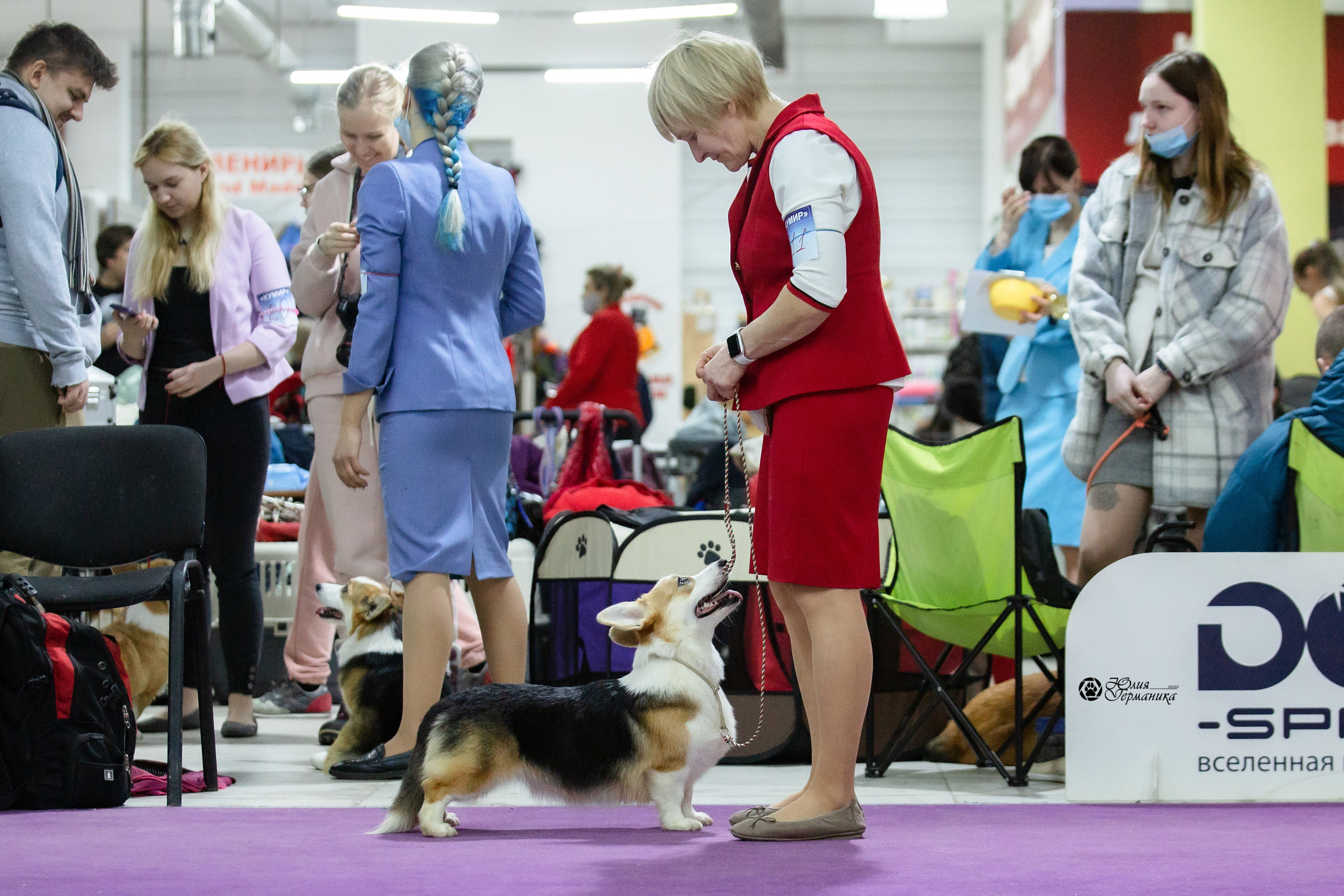 Чайна-Таун 12-13 февраля 2022. Фотограф-анималист Юлия Германика