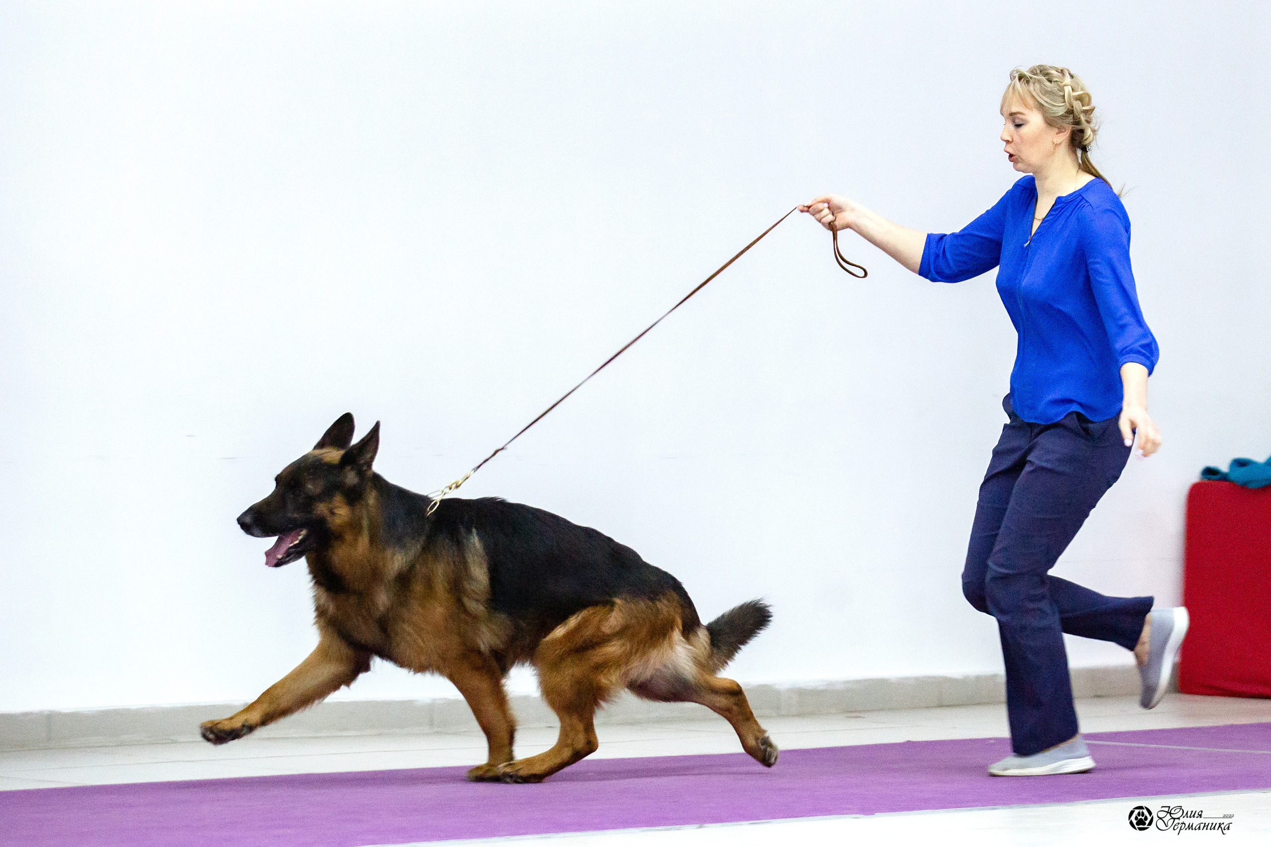 Чайна-Таун 12-13 февраля 2022. Фотограф-анималист Юлия Германика