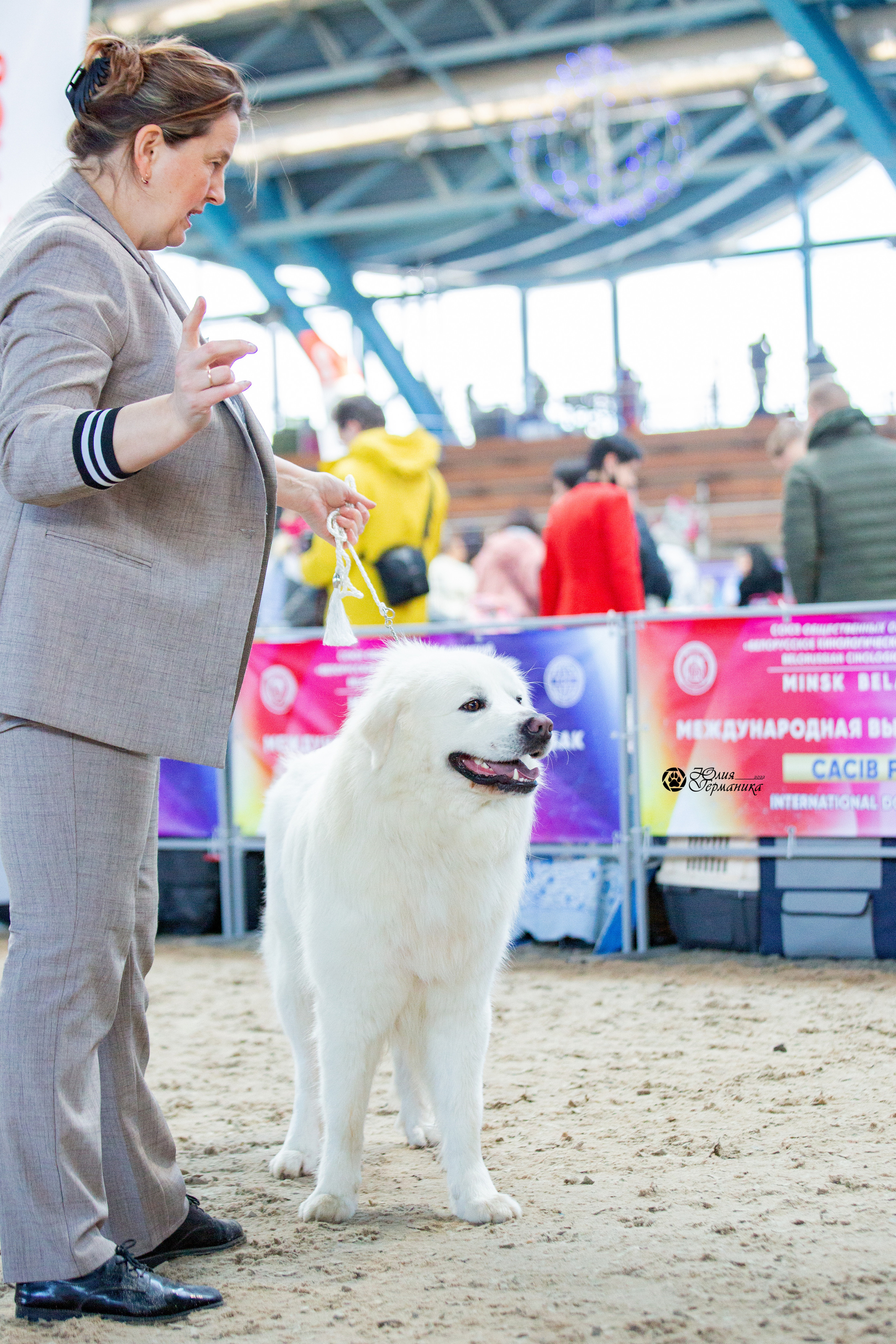 Минск 2хCACIB 5-6 марта 2022. Фотограф-анималист Юлия Германика