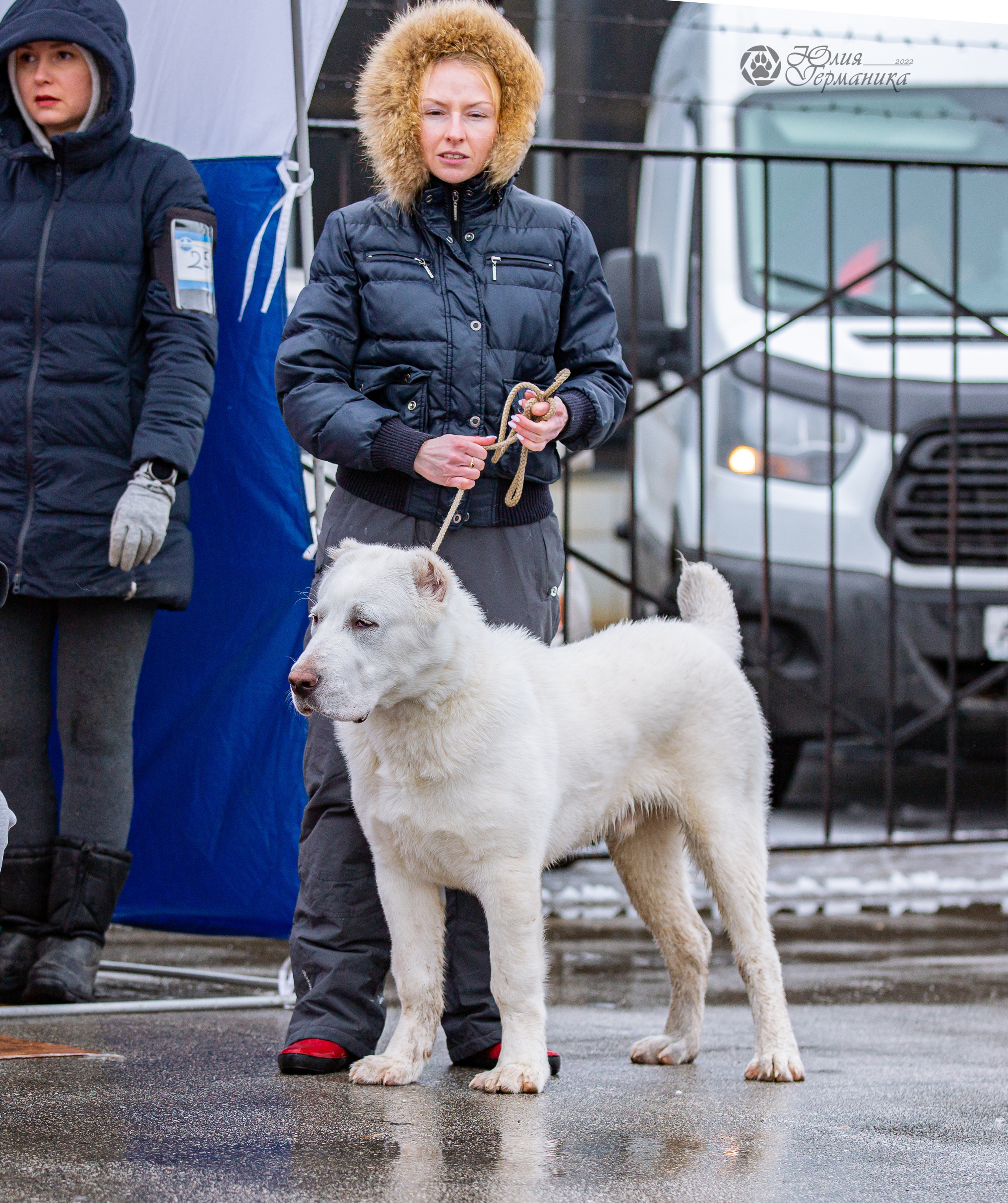 2хМОНО САО Рязань 02 апреля 2022. Фотограф-анималист Юлия Германика