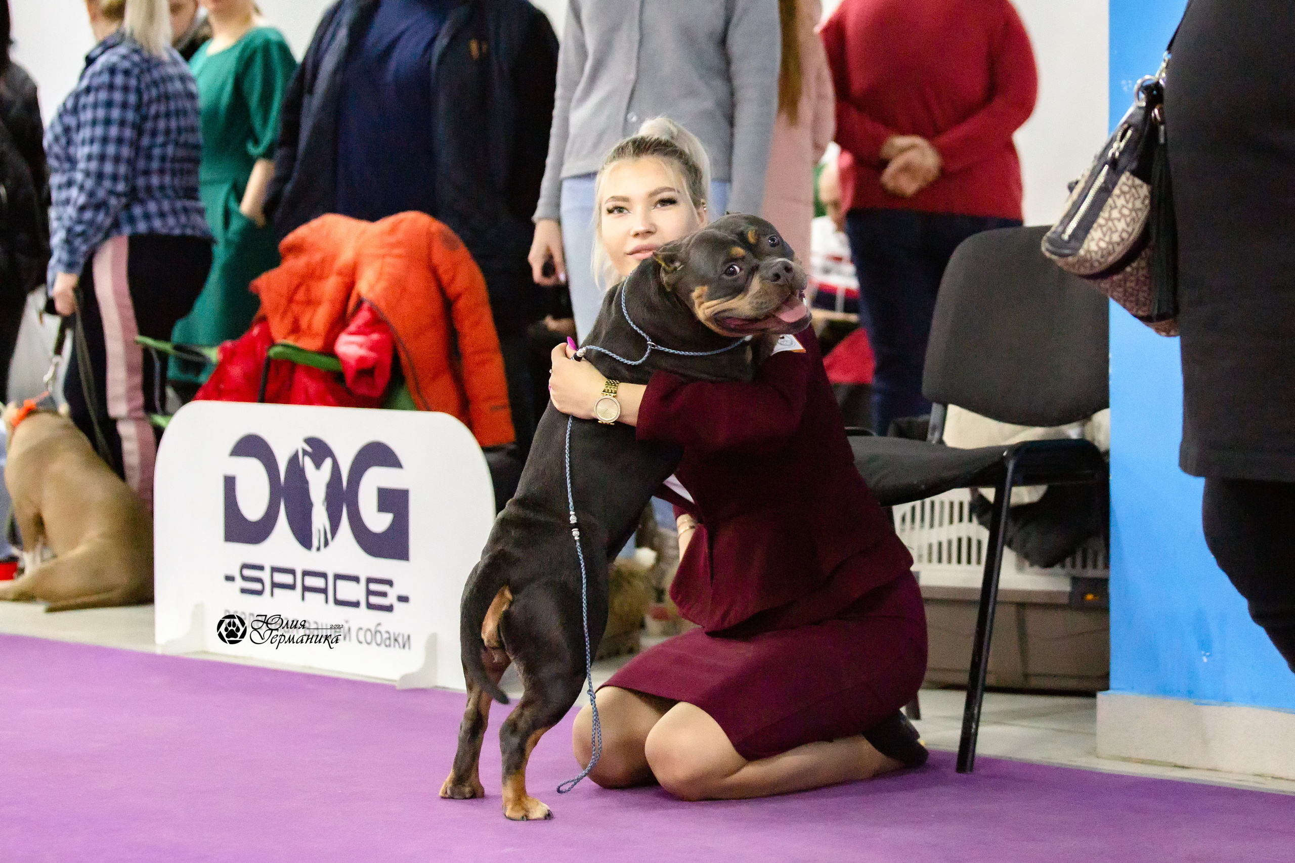 Чайна-Таун 27 февраля 2022. Фотограф-анималист Юлия Германика