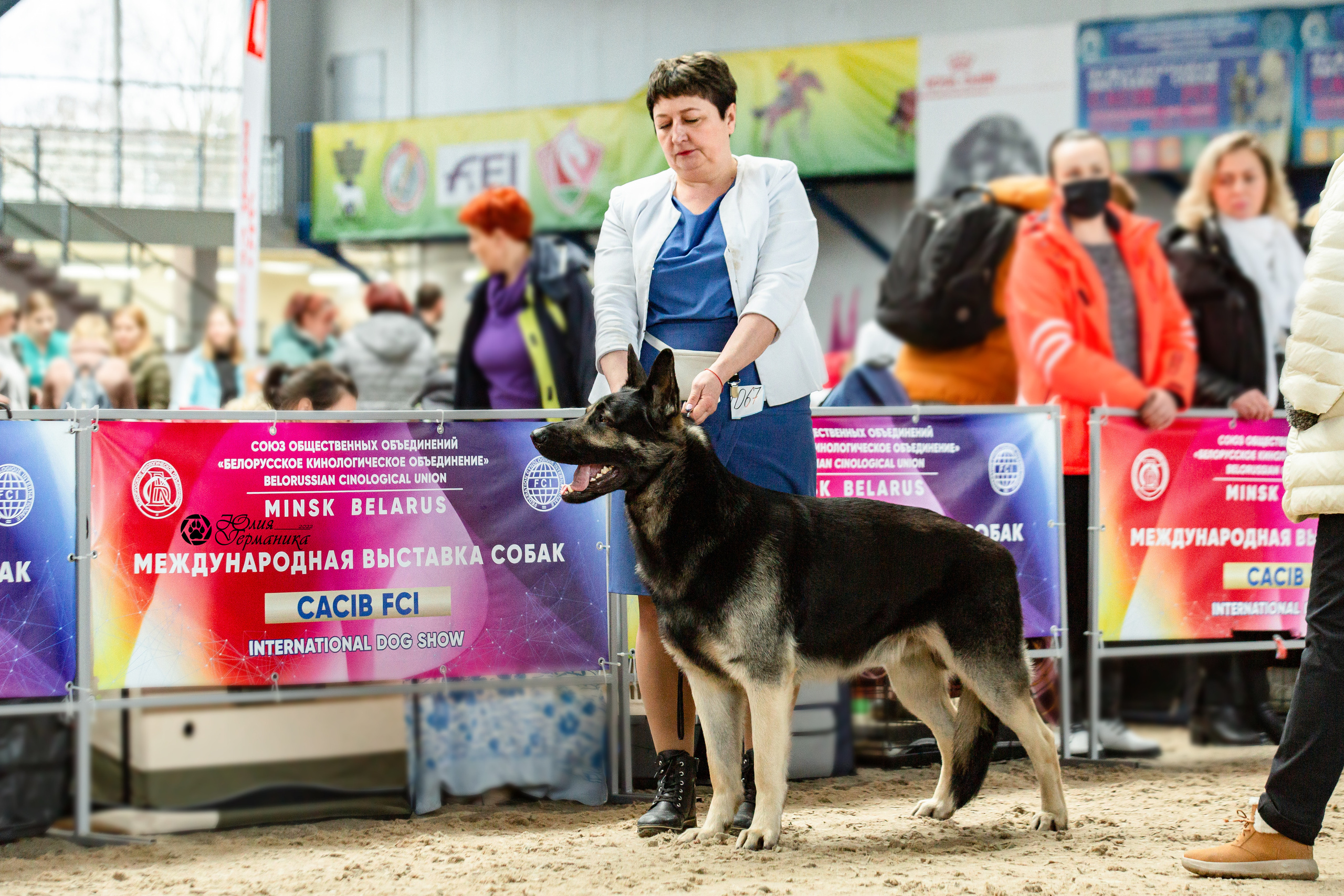 Минск 2хCACIB 5-6 марта 2022. Фотограф-анималист Юлия Германика