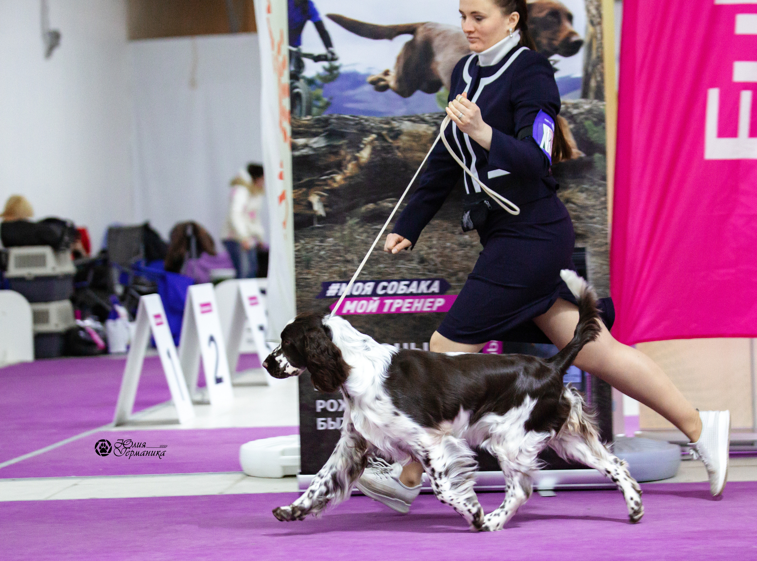 Чайна-Таун 23 февраля 2022. Фотограф-анималист Юлия Германика