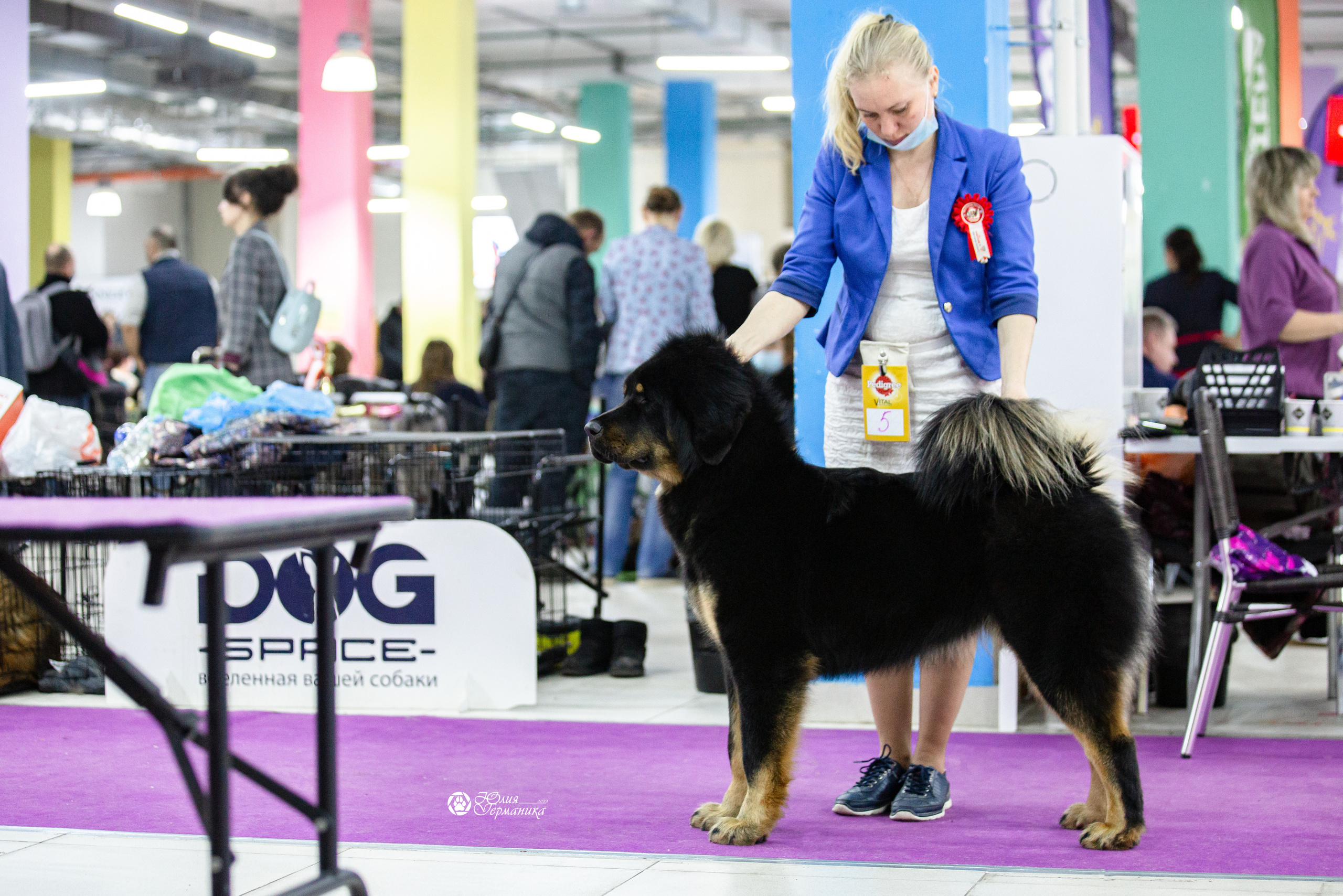 Чайна-Таун 29-30 января 2022. Фотограф-анималист Юлия Германика