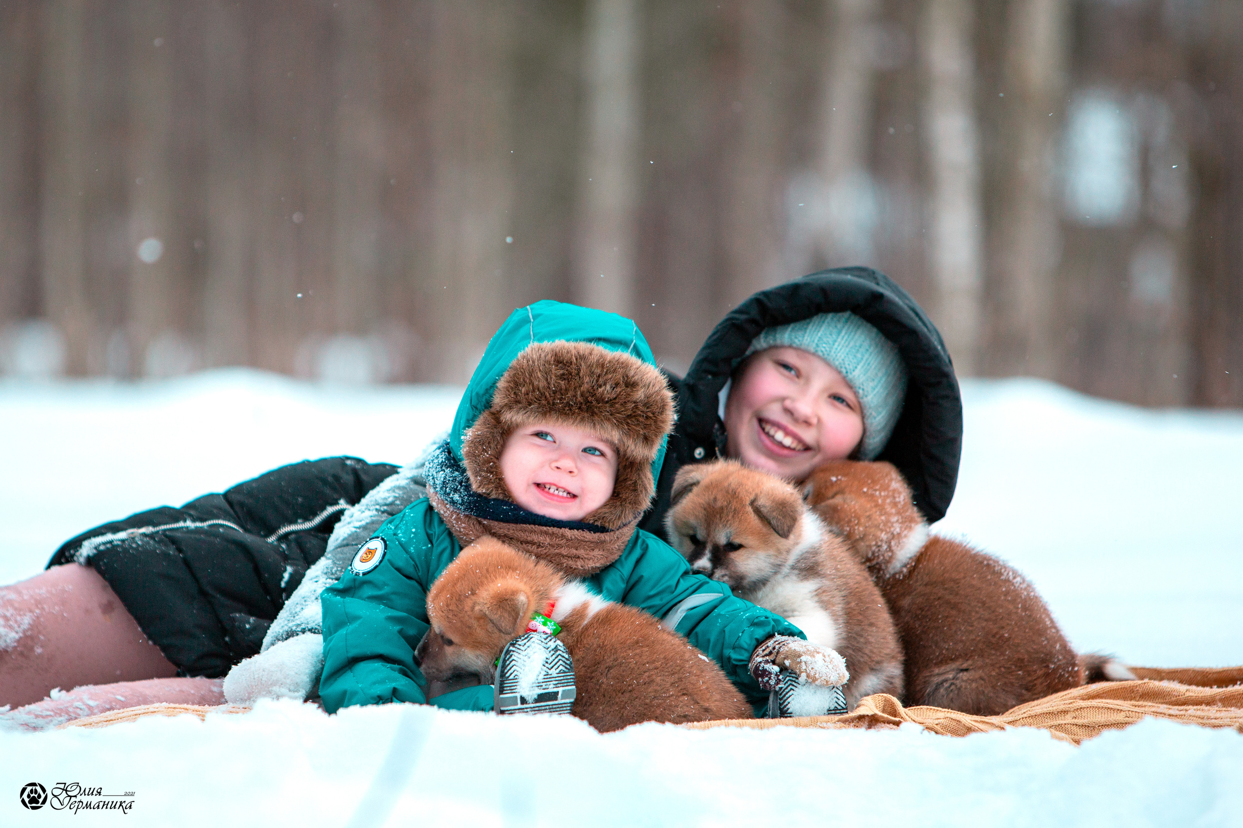 Свободная съемка. Фотограф-анималист Юлия Германика
