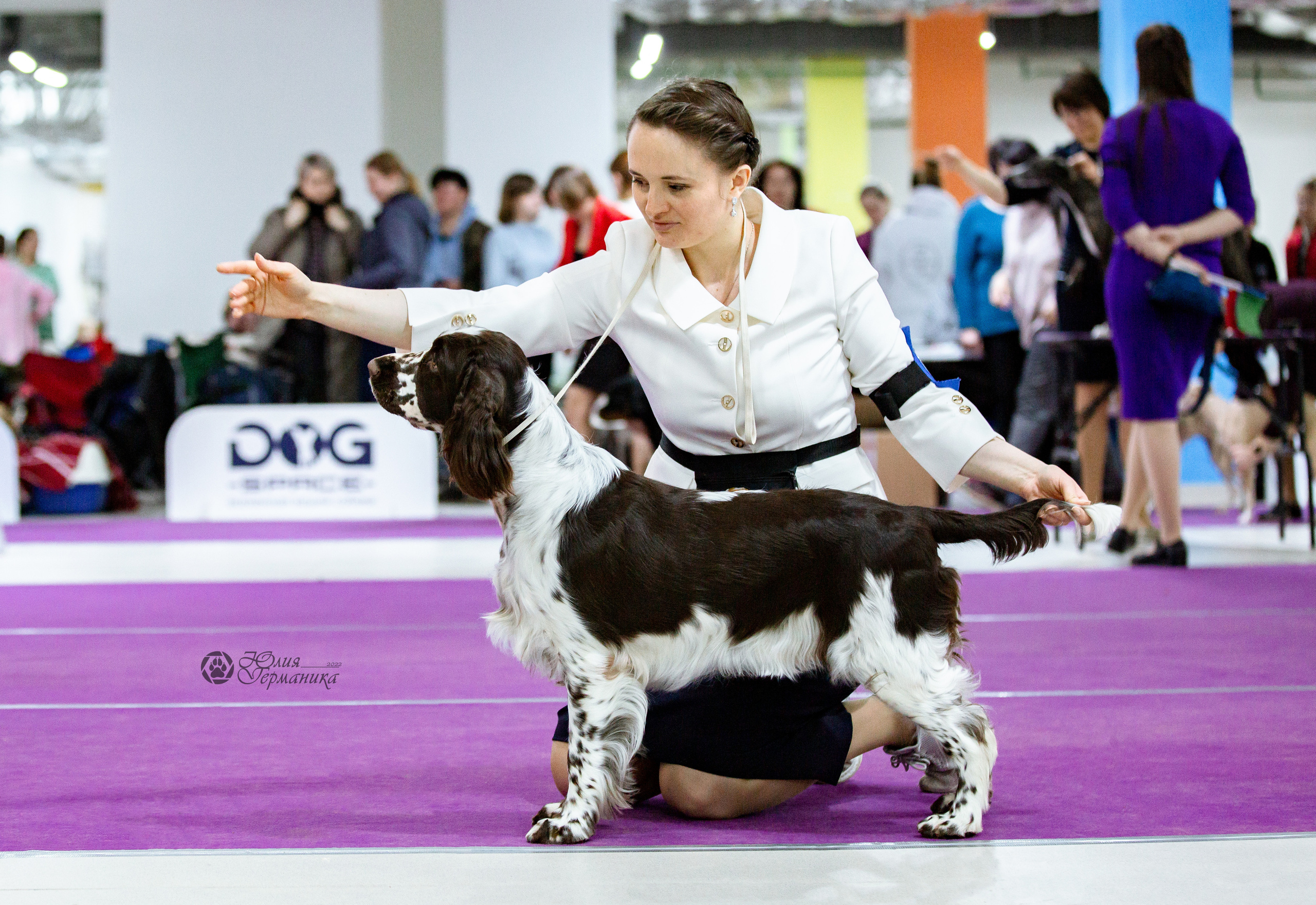 Чайна-Таун 24 и 27 марта 2022. Фотограф-анималист Юлия Германика