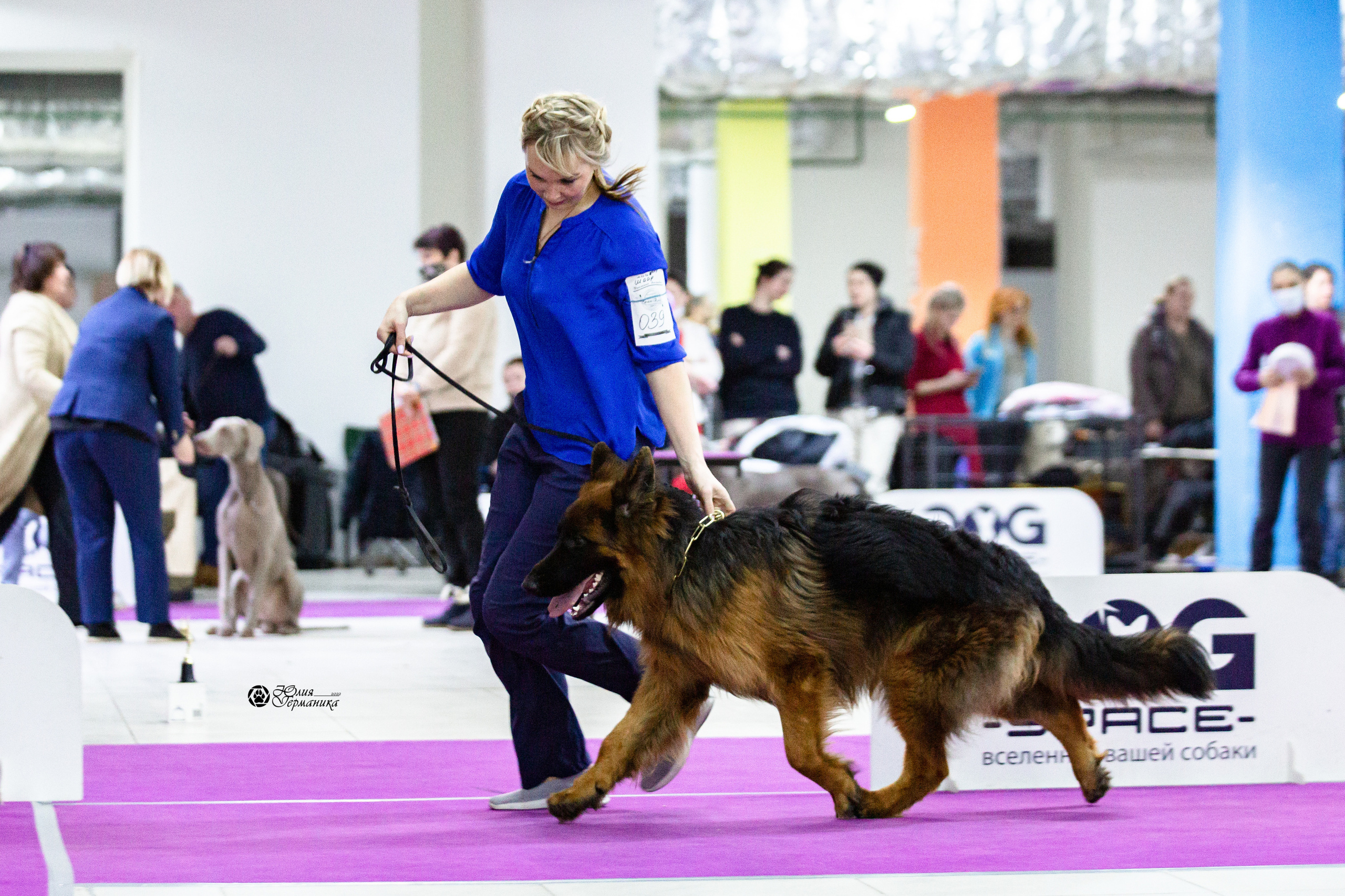Чайна-Таун 12-13 февраля 2022. Фотограф-анималист Юлия Германика