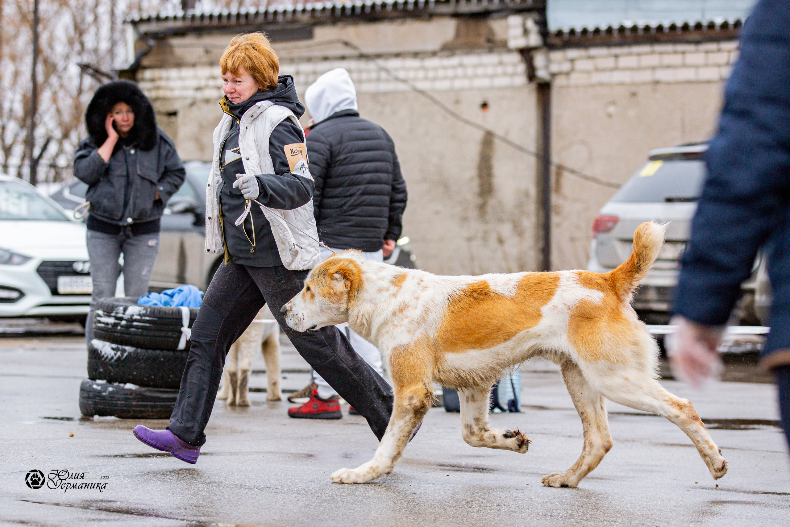 2хМОНО САО Рязань 02 апреля 2022. Фотограф-анималист Юлия Германика