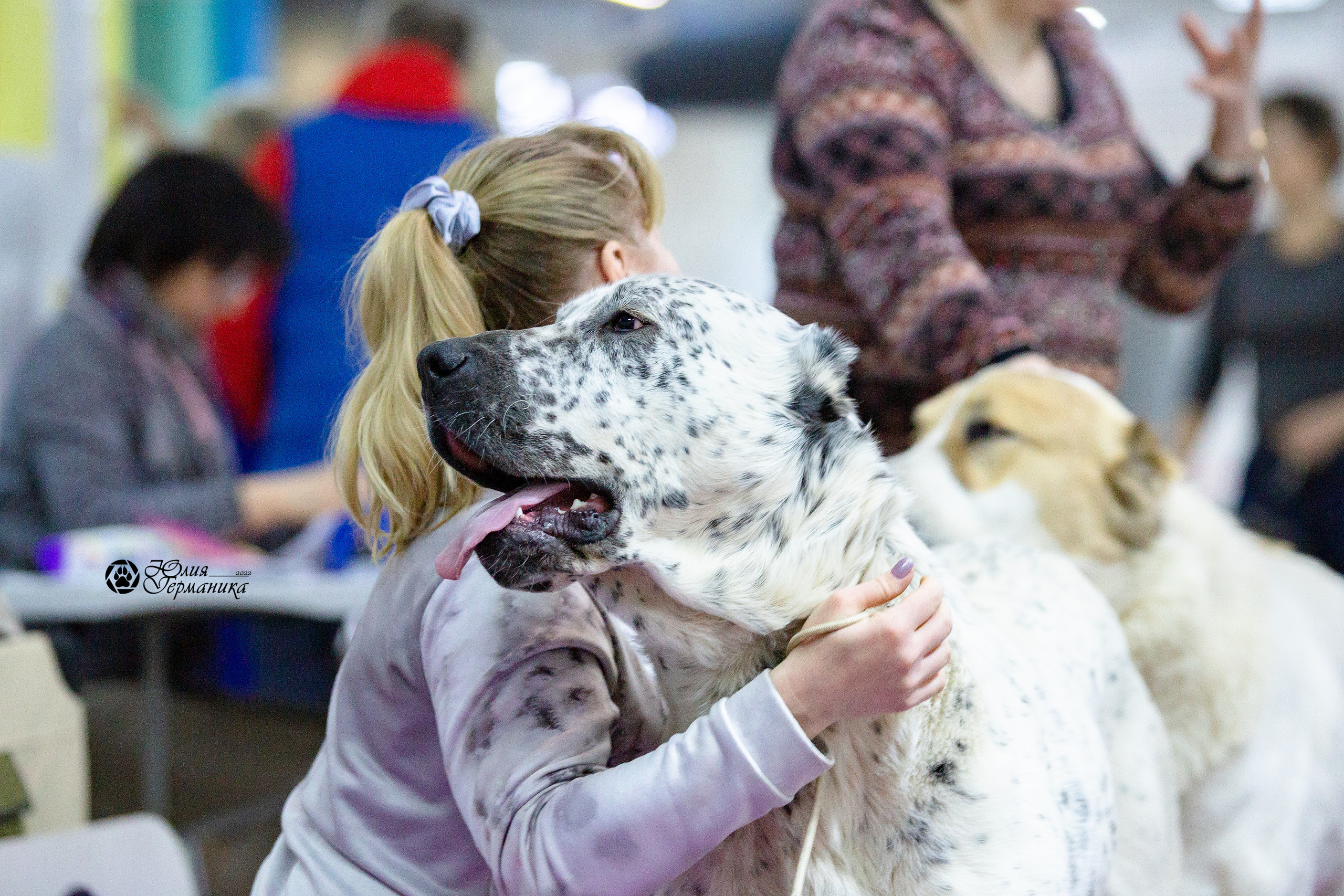Чайна-Таун 24 и 27 марта 2022. Фотограф-анималист Юлия Германика
