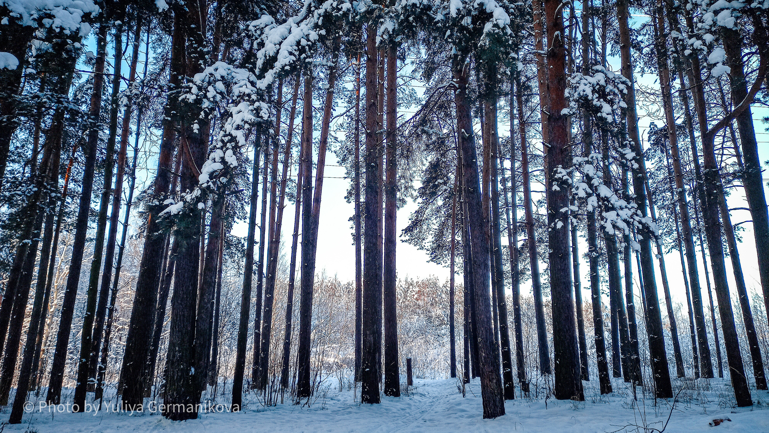 Разные фото на телефон.Города,природа. Фотограф-анималист Юлия Германика