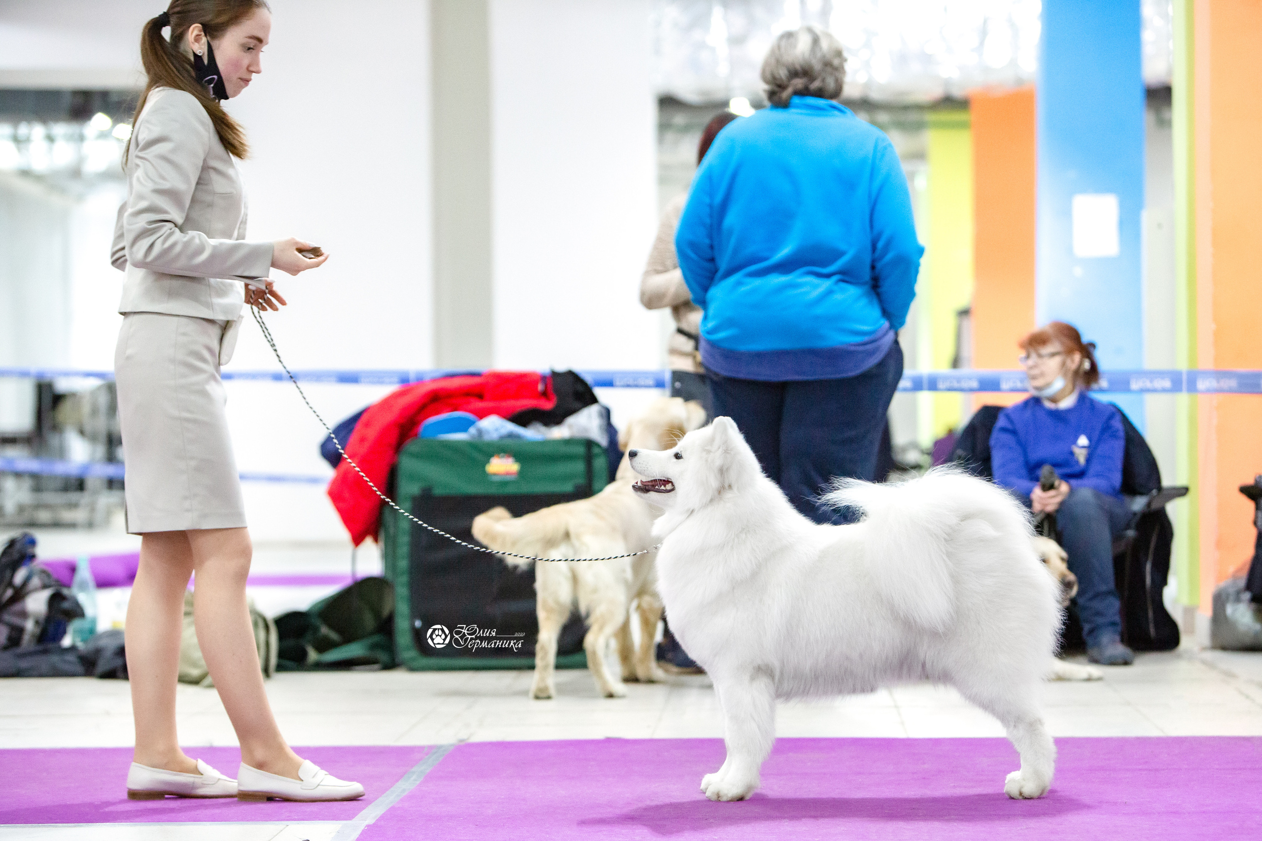 Чайна-Таун 8 января 2022. Фотограф-анималист Юлия Германика