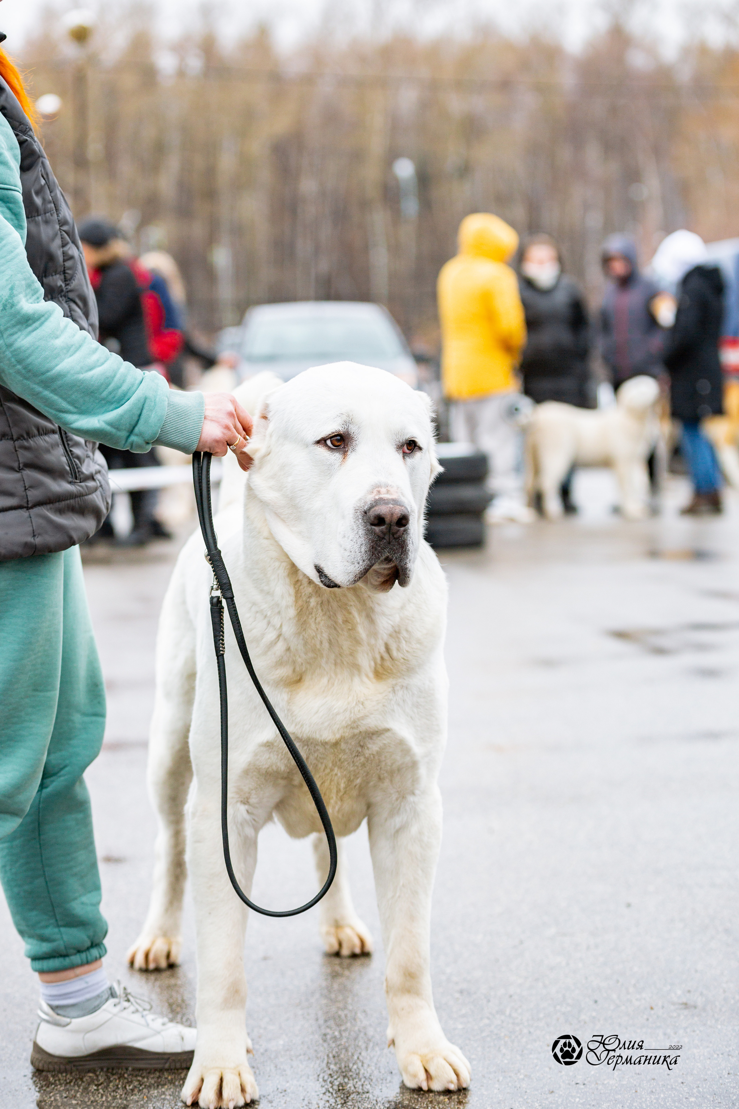 2хМОНО САО Рязань 02 апреля 2022. Фотограф-анималист Юлия Германика