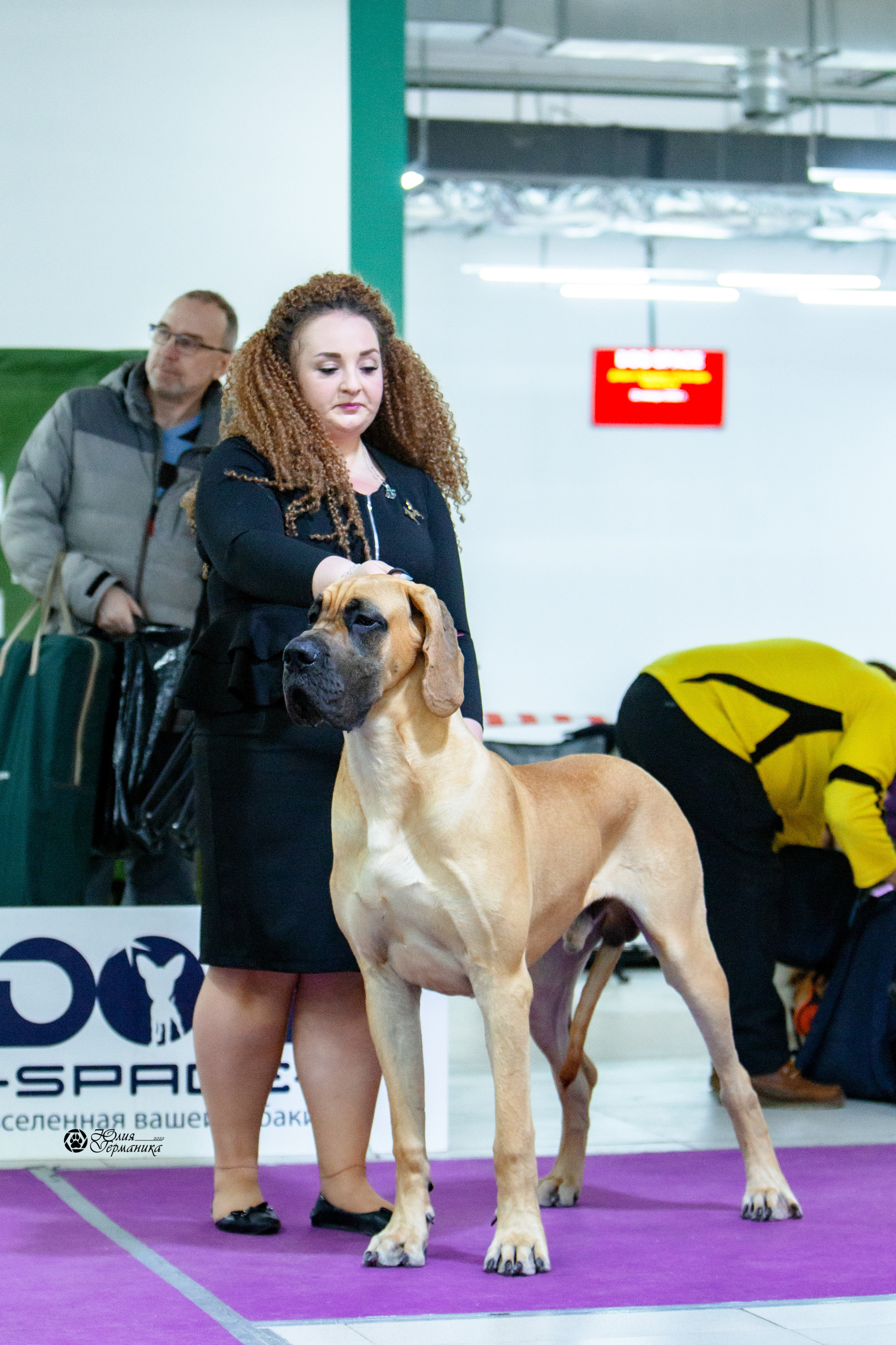 Чайна-Таун 29-30 января 2022. Фотограф-анималист Юлия Германика