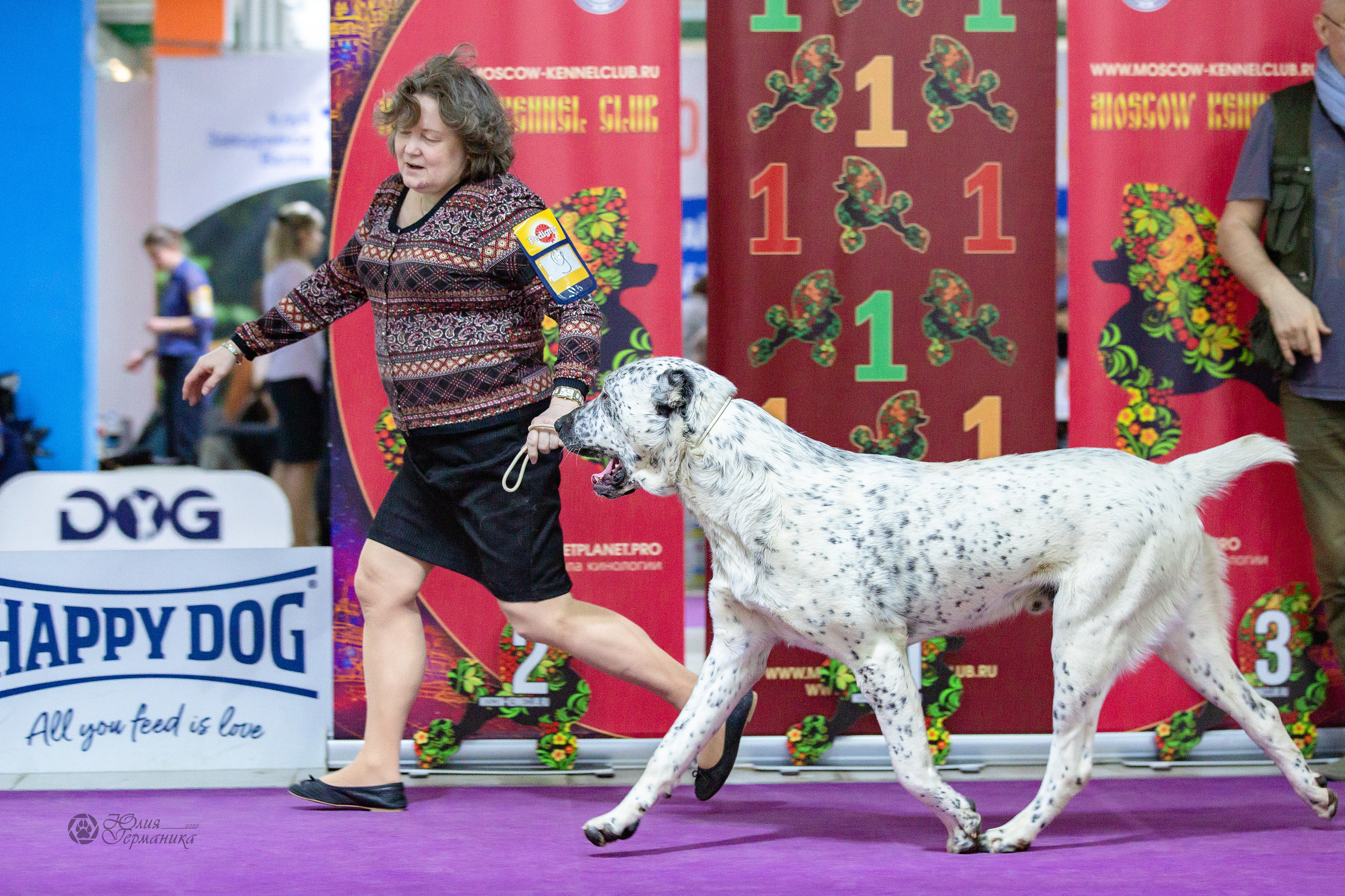 Чайна-Таун 24 и 27 марта 2022. Фотограф-анималист Юлия Германика