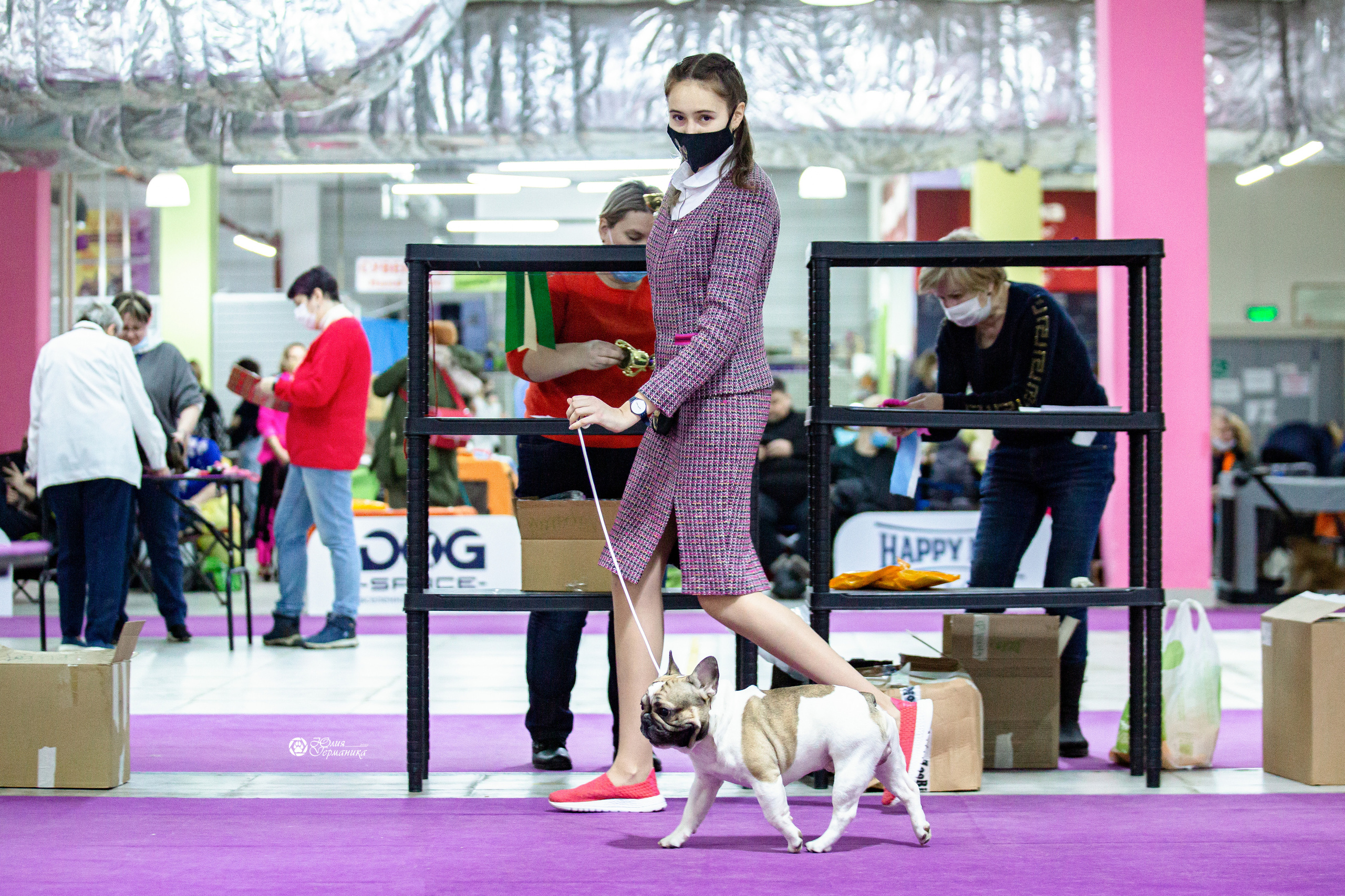 Чайна-Таун 29-30 января 2022. Фотограф-анималист Юлия Германика