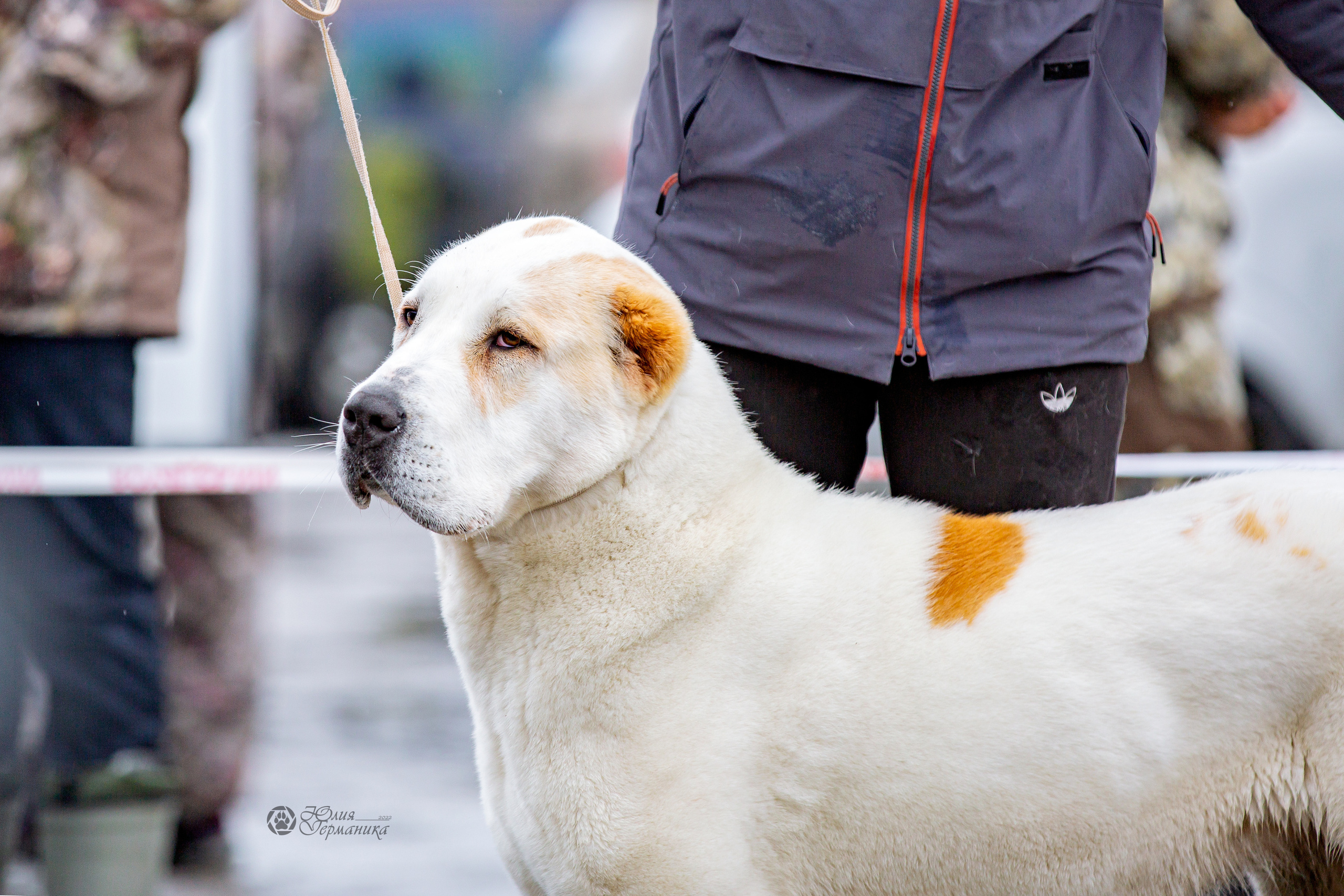 2хМОНО САО Рязань 02 апреля 2022. Фотограф-анималист Юлия Германика