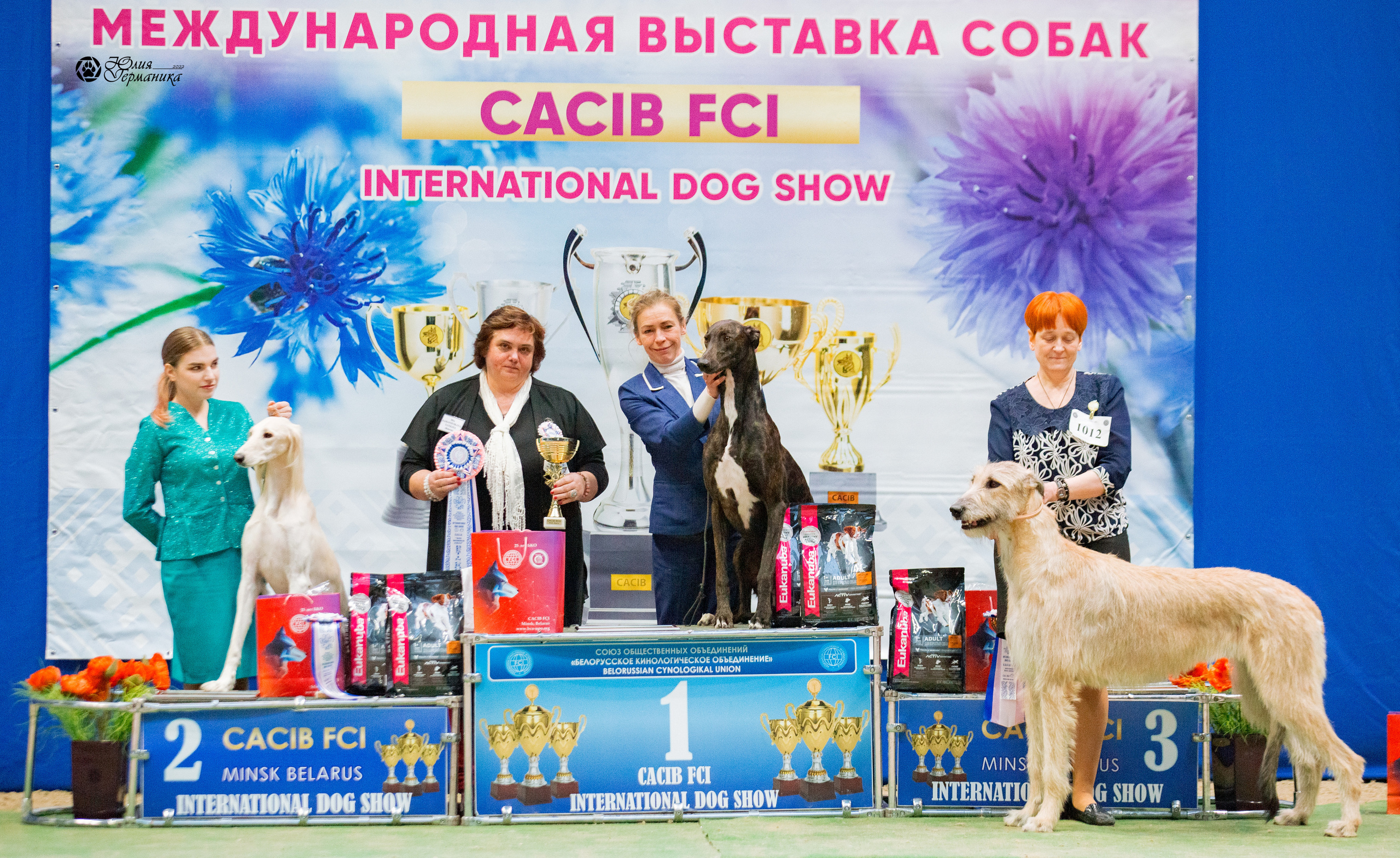 Минск 2хCACIB 5-6 марта 2022. Фотограф-анималист Юлия Германика