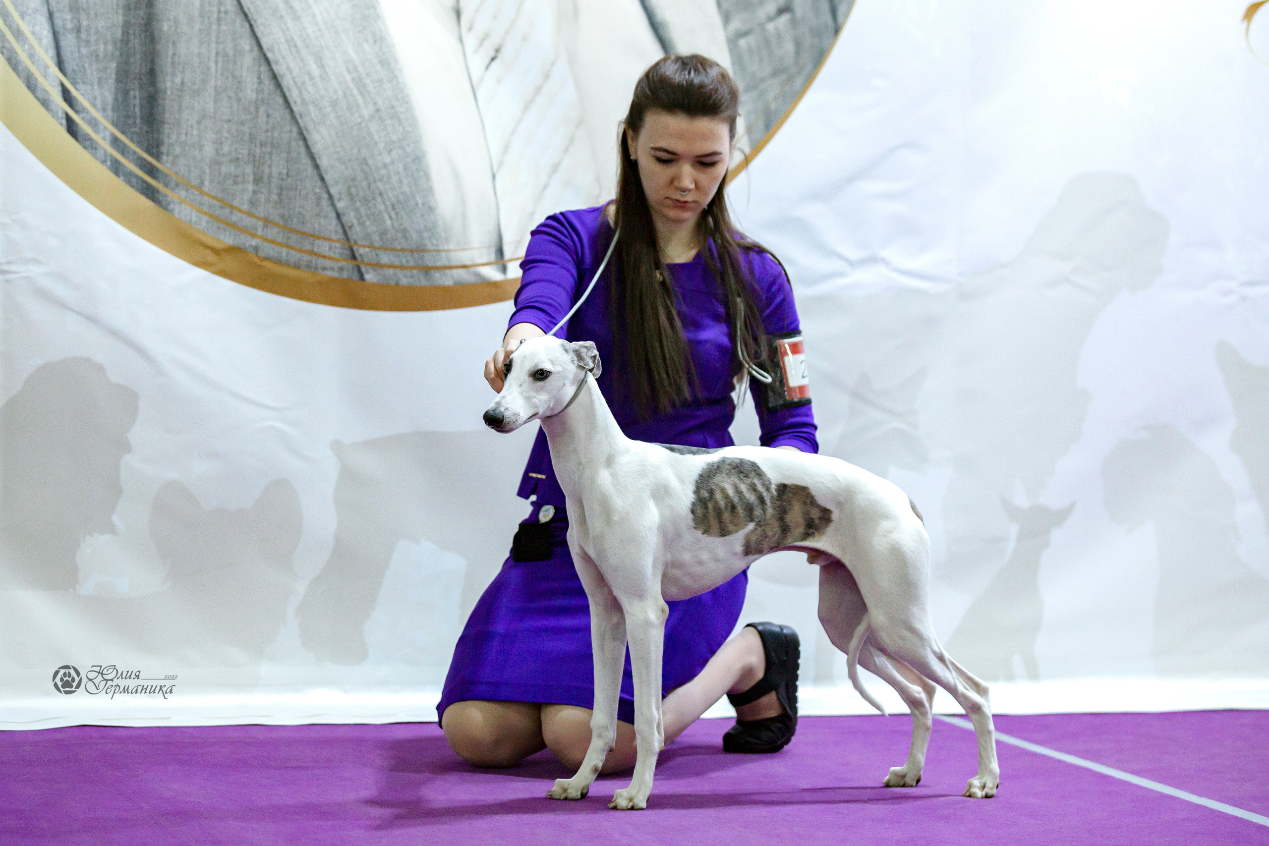 Чайна-Таун 24 и 27 марта 2022. Фотограф-анималист Юлия Германика