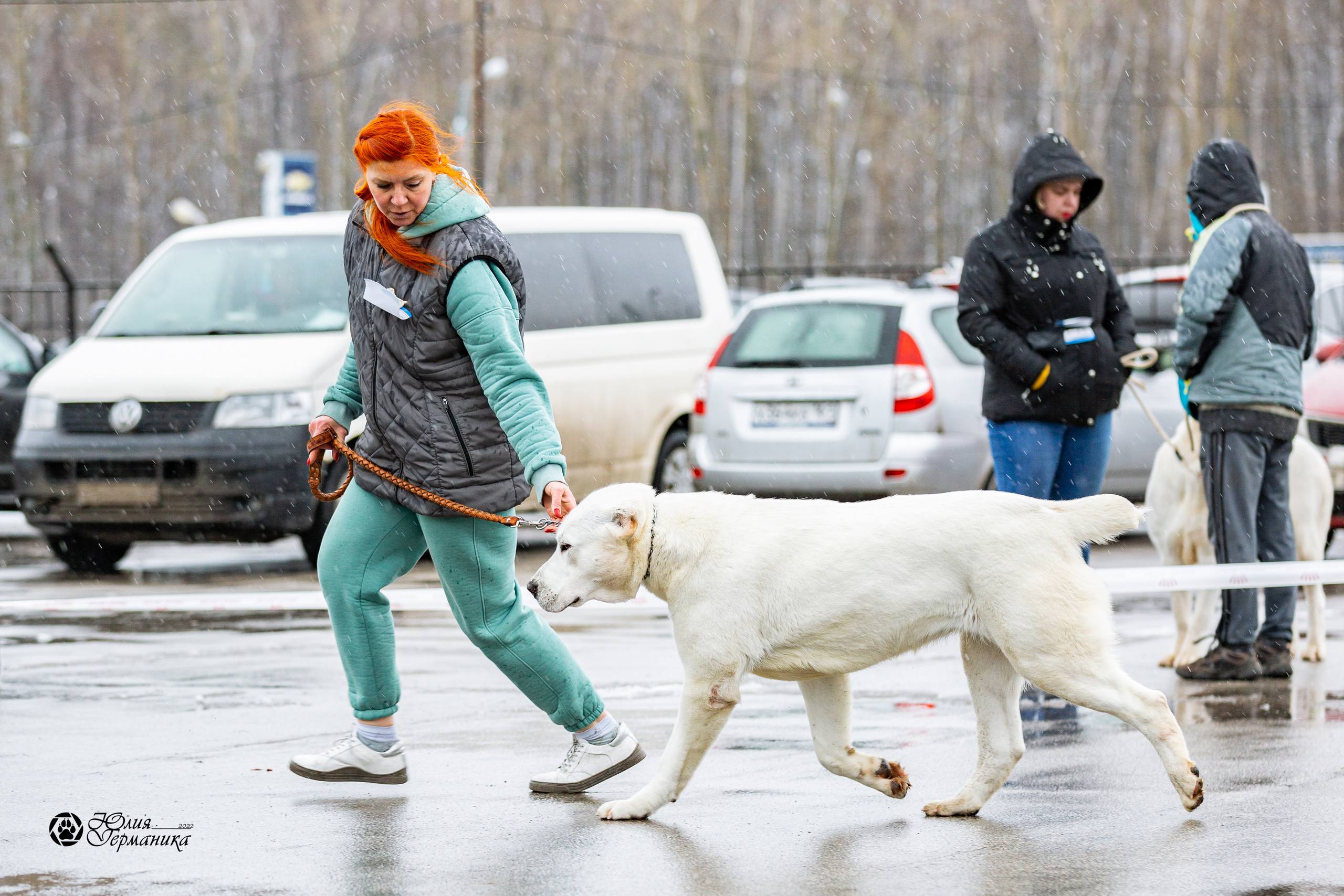 2хМОНО САО Рязань 02 апреля 2022. Фотограф-анималист Юлия Германика