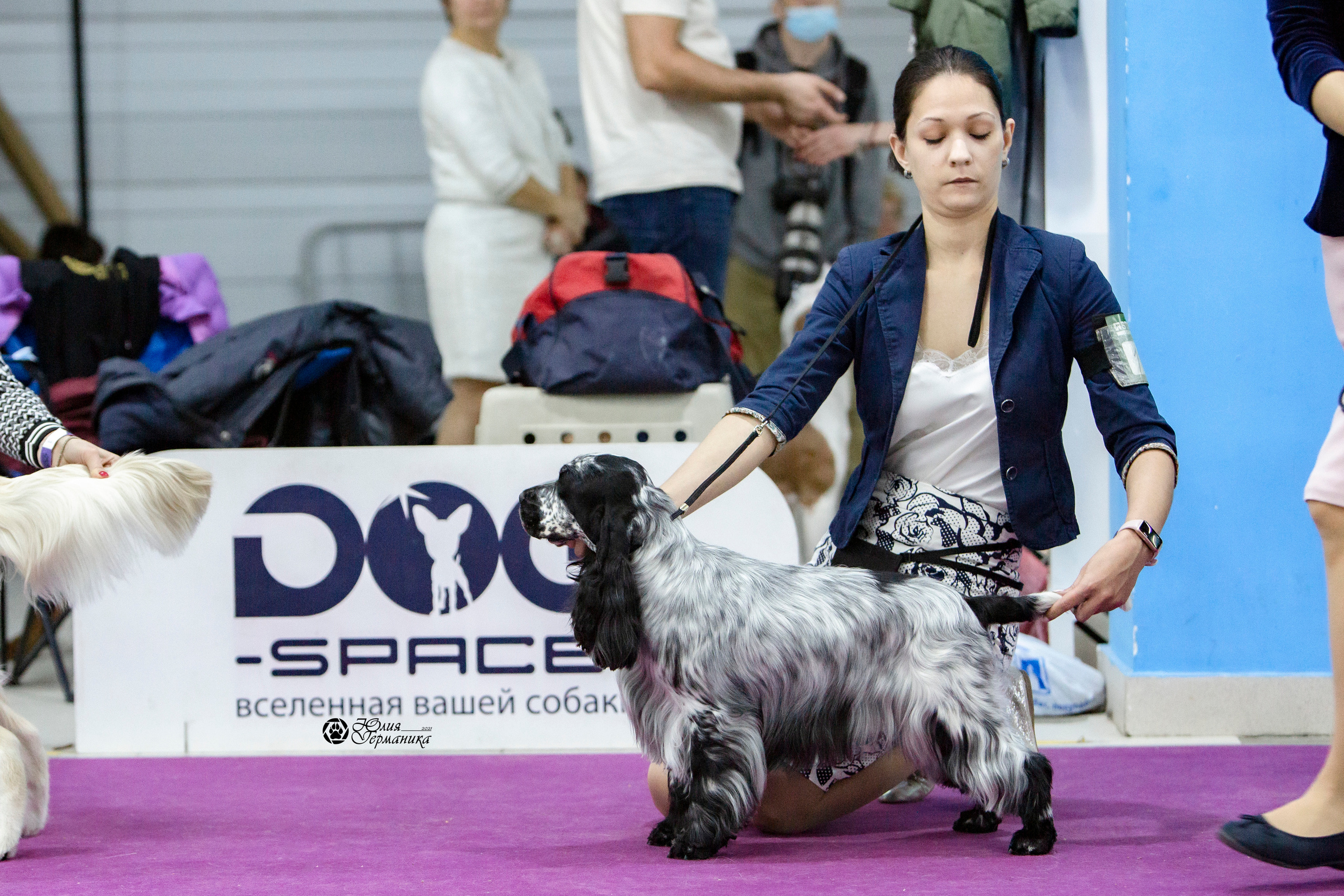 Чайна-Таун 18,26 и 29 декабря 2021. Фотограф-анималист Юлия Германика