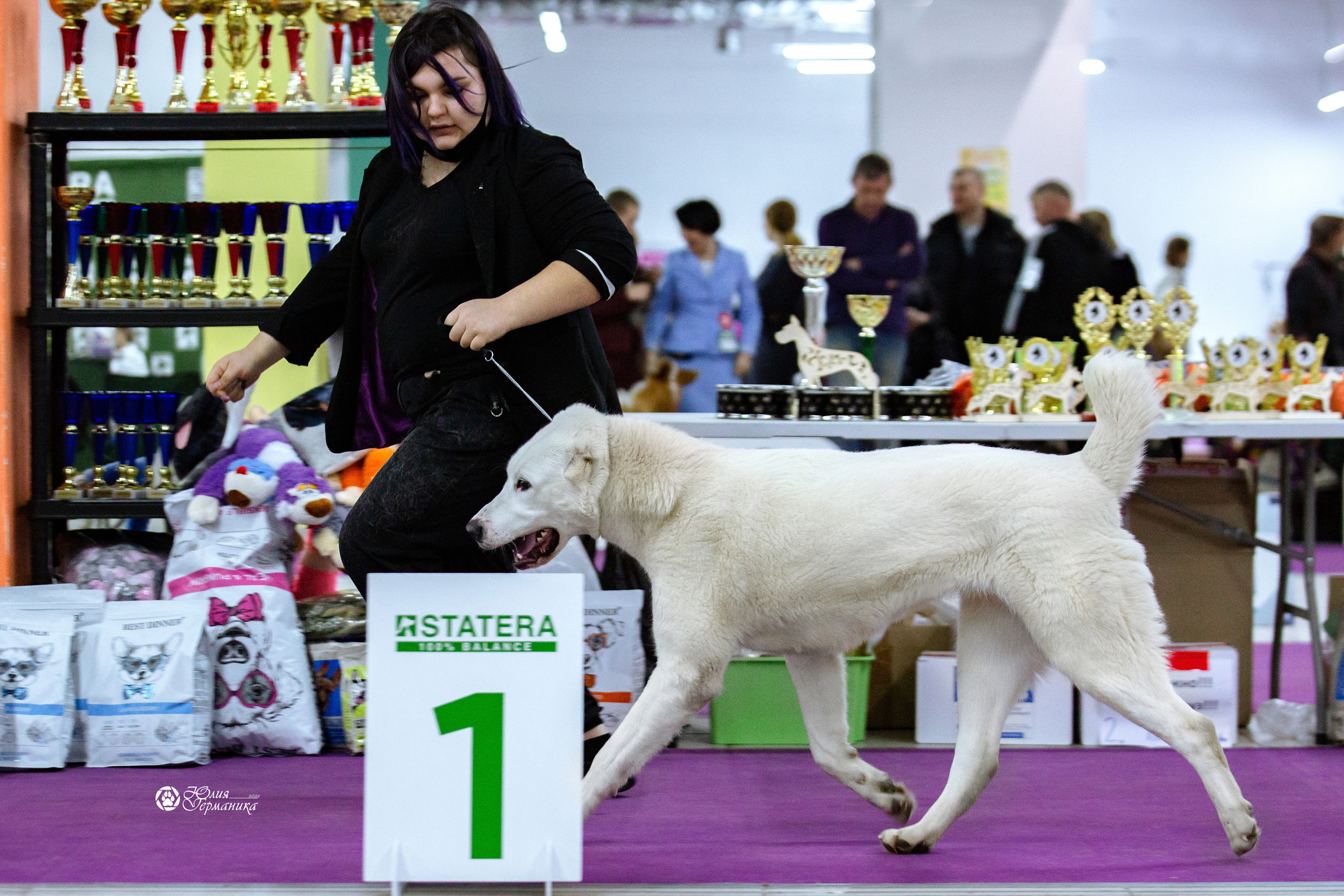 Чайна-Таун 23 февраля 2022. Фотограф-анималист Юлия Германика