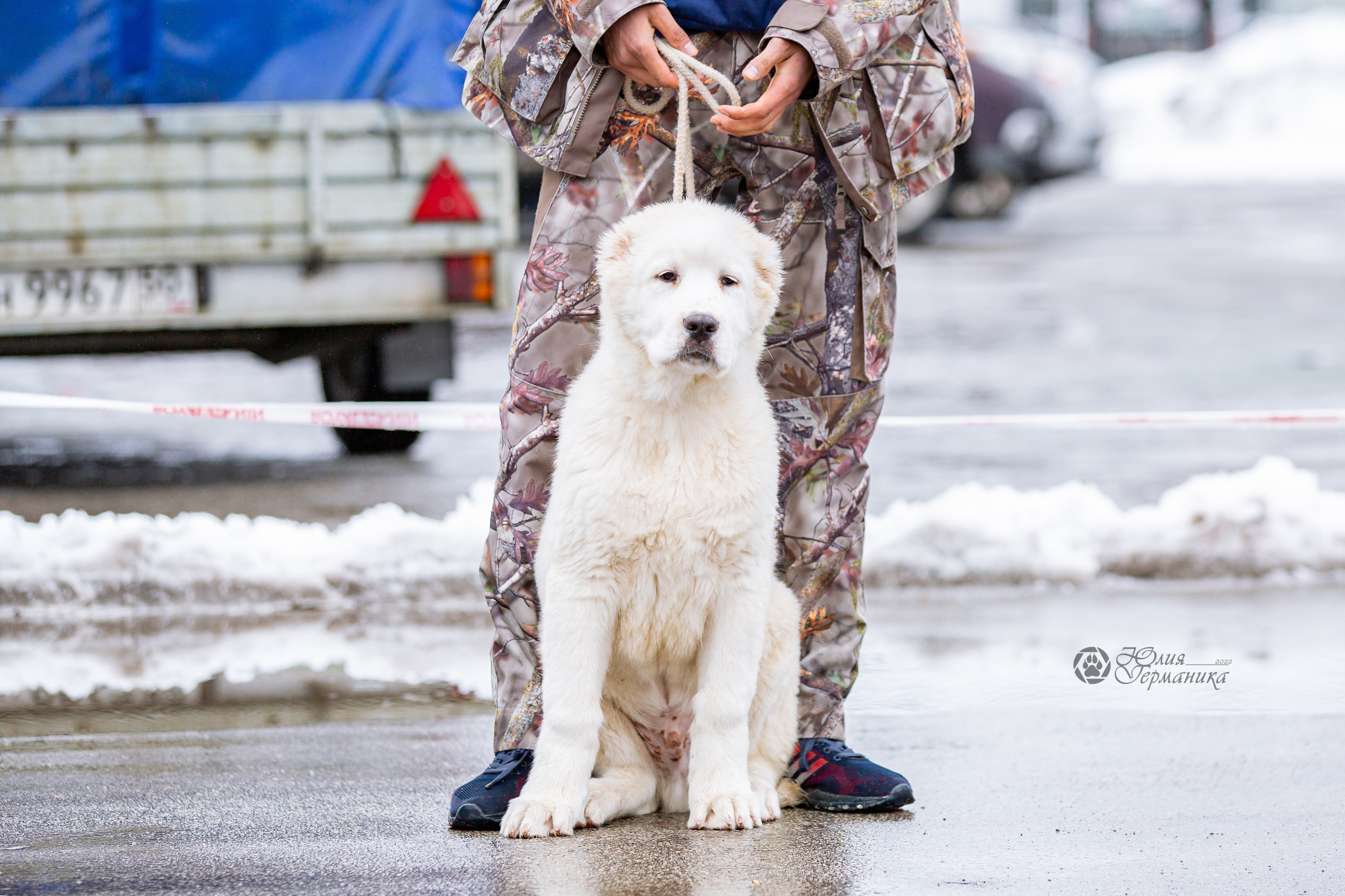 2хМОНО САО Рязань 02 апреля 2022. Фотограф-анималист Юлия Германика