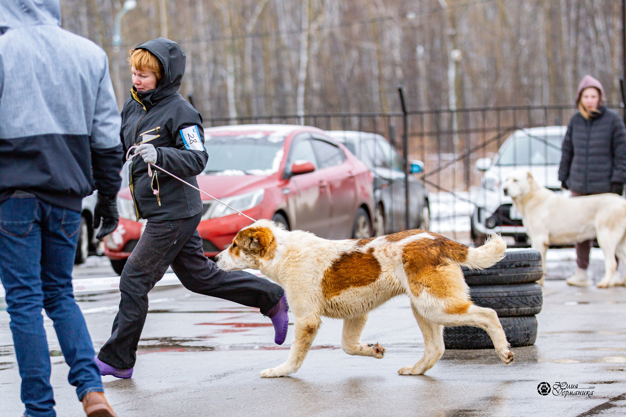 2хМОНО САО Рязань 02 апреля 2022. Фотограф-анималист Юлия Германика