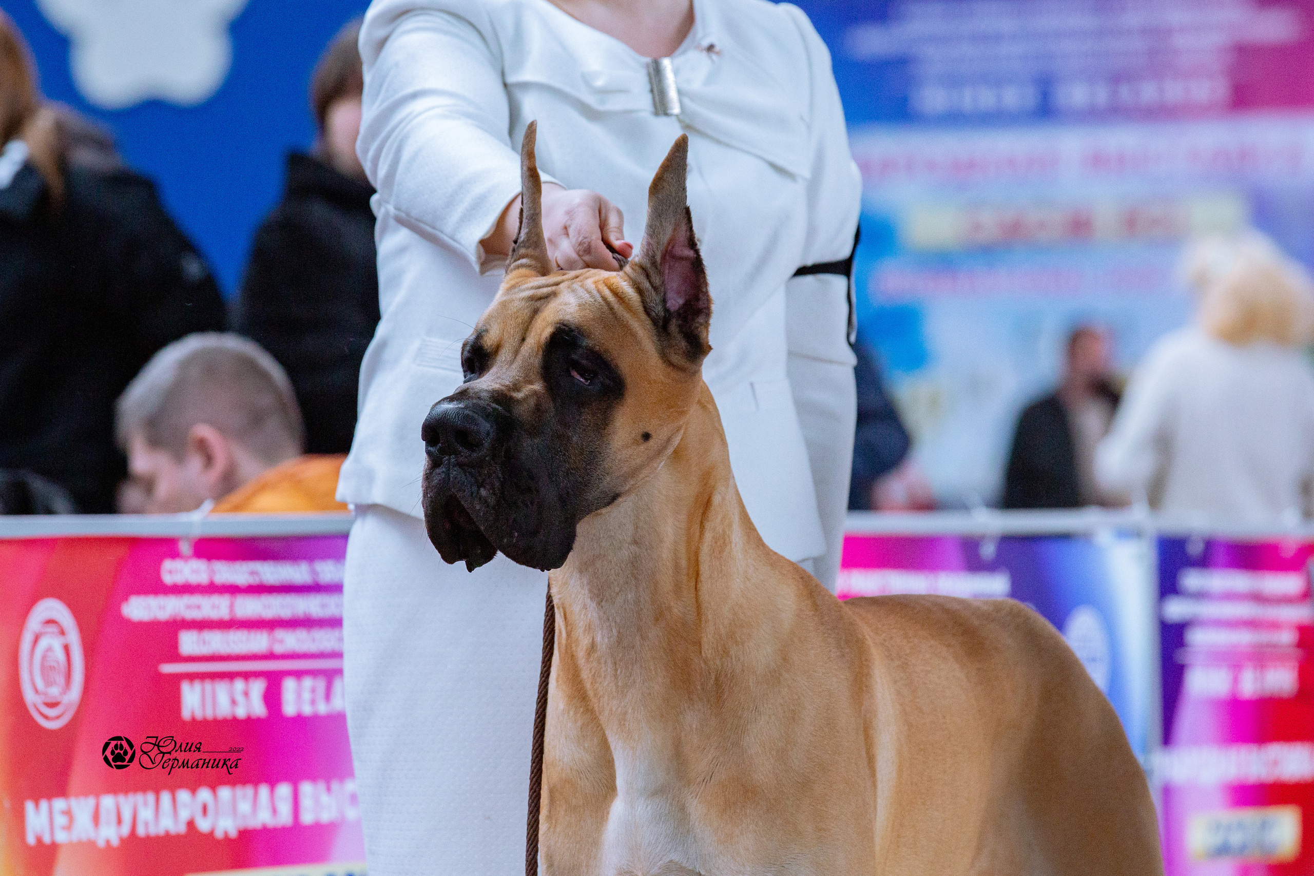 Минск 2хCACIB 5-6 марта 2022. Фотограф-анималист Юлия Германика