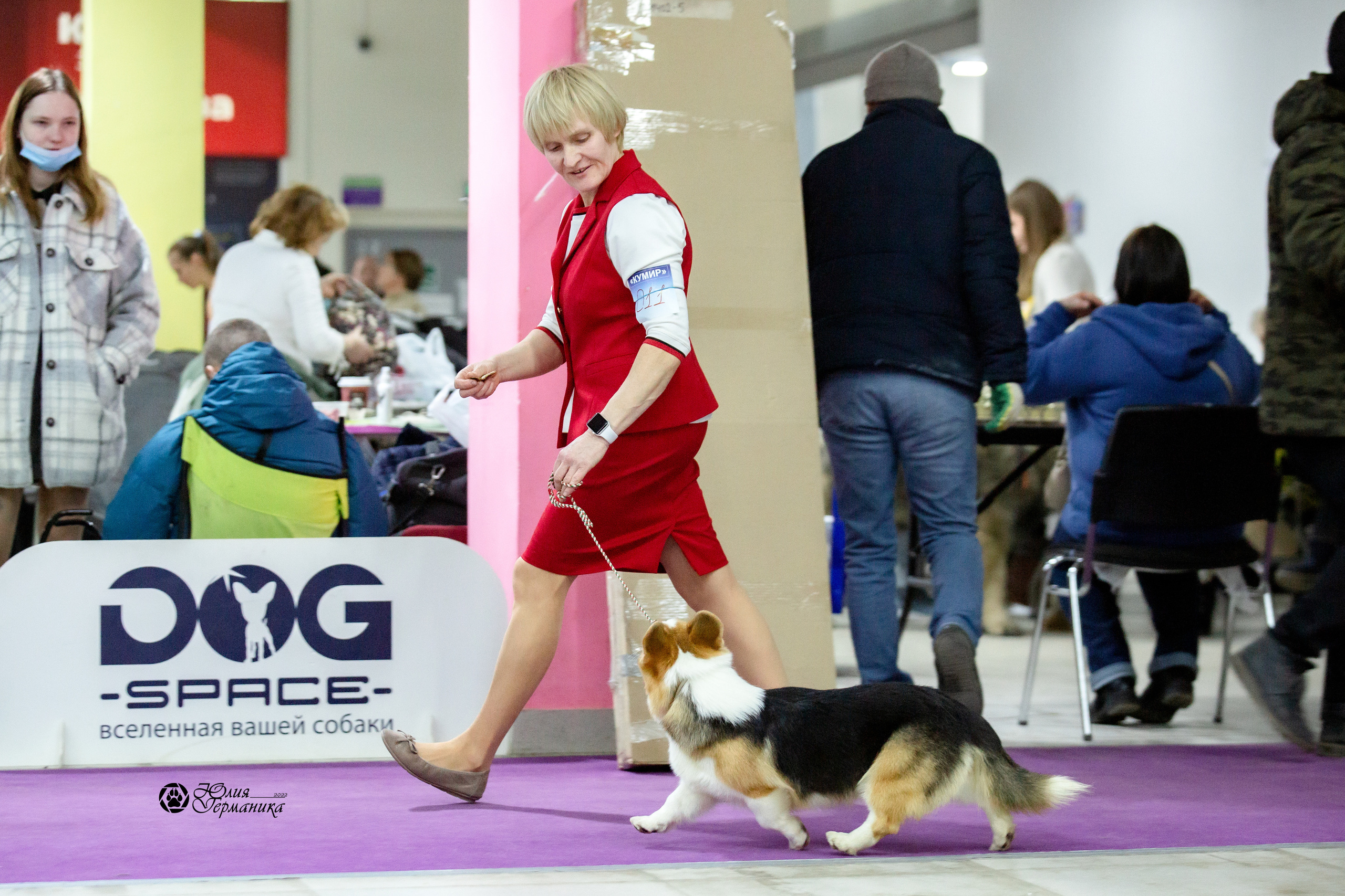 Чайна-Таун 12-13 февраля 2022. Фотограф-анималист Юлия Германика