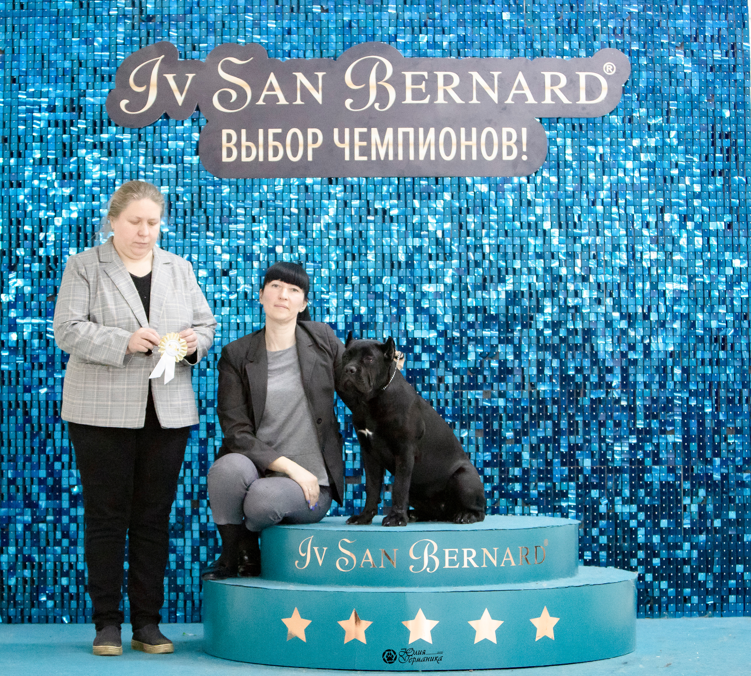 Чайна-Таун 18,26 и 29 декабря 2021. Фотограф-анималист Юлия Германика