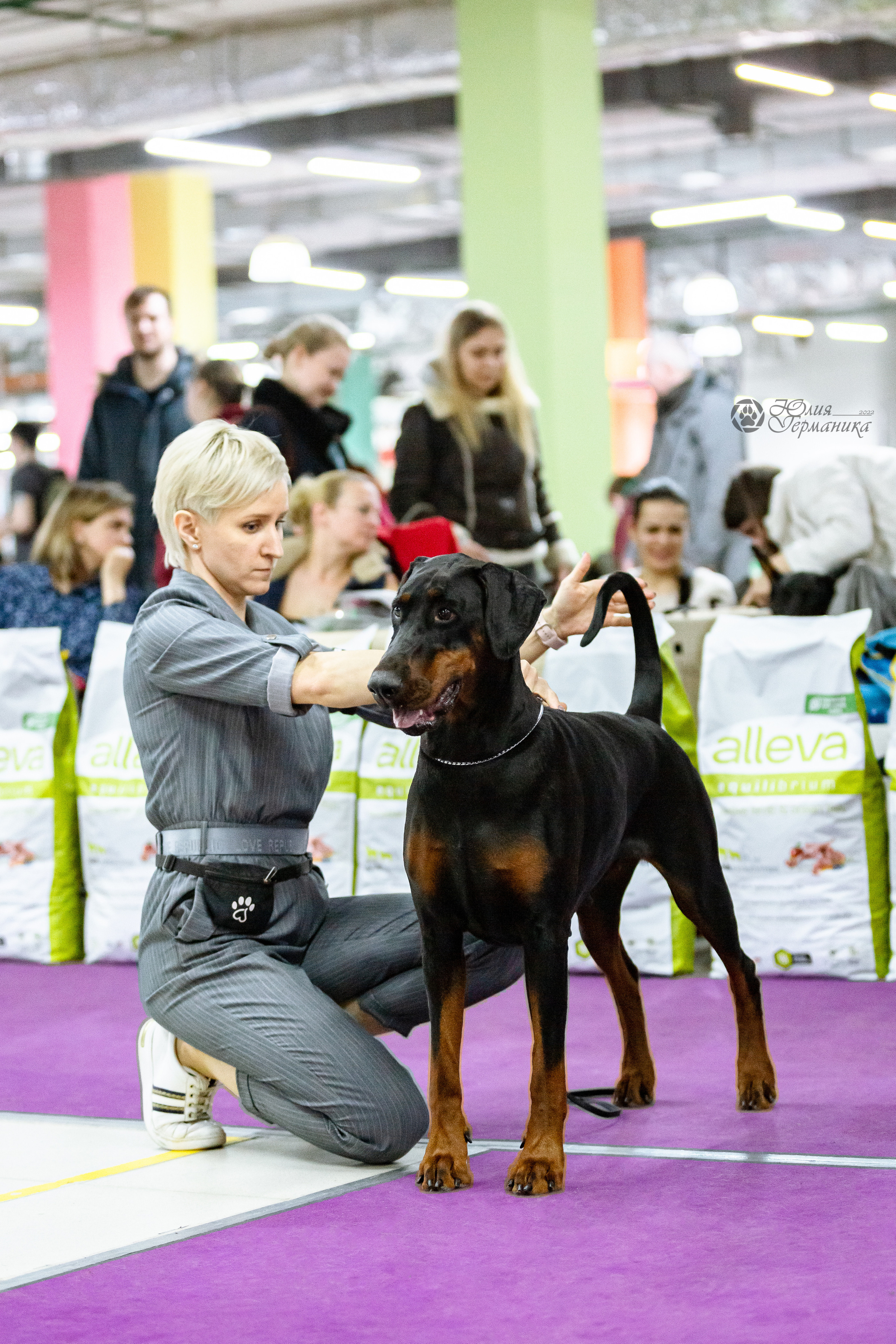 Чайна-Таун ПК Доберманов  3 апреля 2022. Фотограф-анималист Юлия Германика
