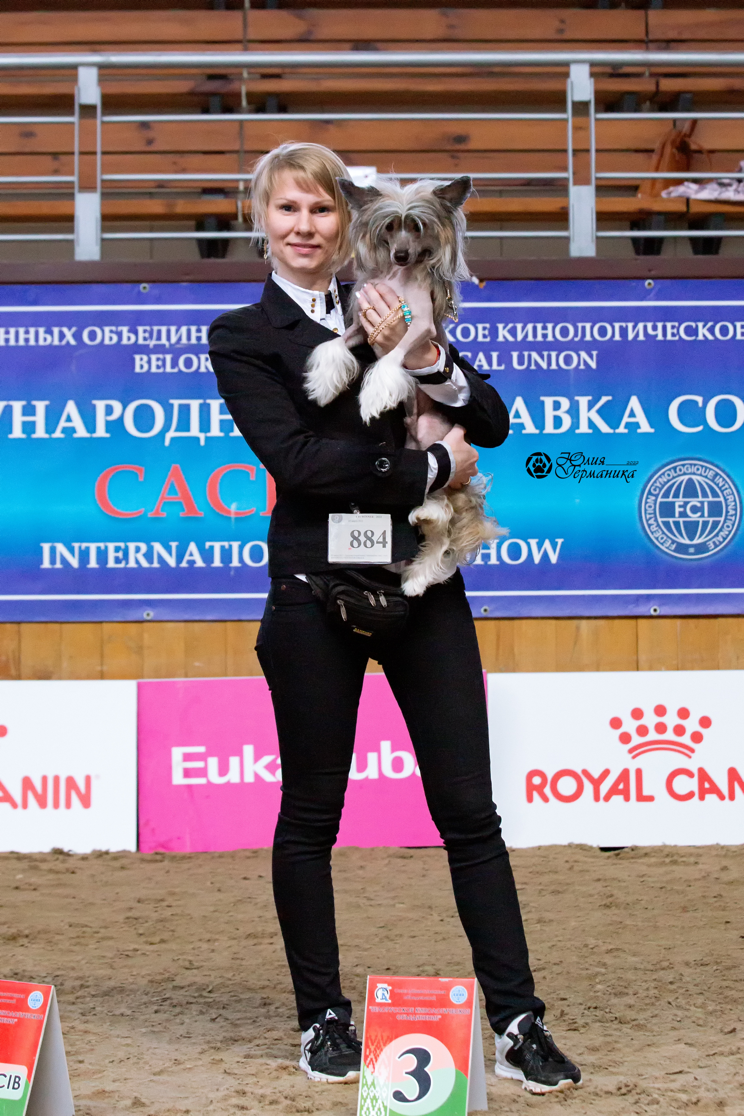 Минск 2хCACIB 5-6 марта 2022. Фотограф-анималист Юлия Германика