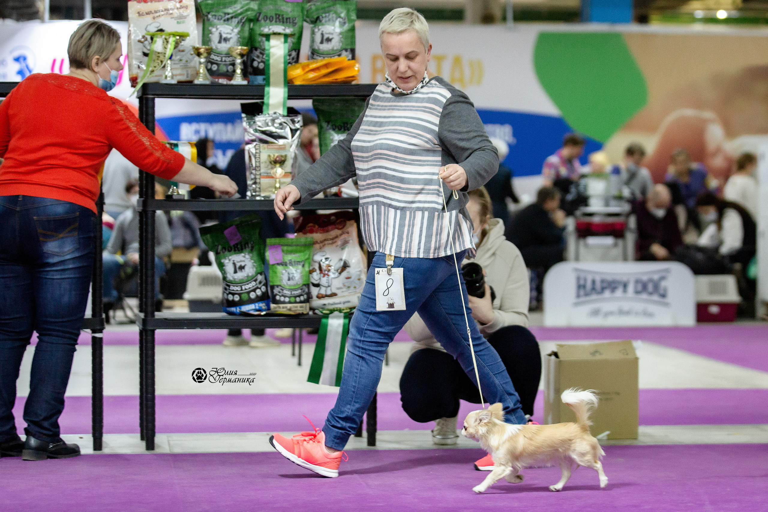 Чайна-Таун 29-30 января 2022. Фотограф-анималист Юлия Германика