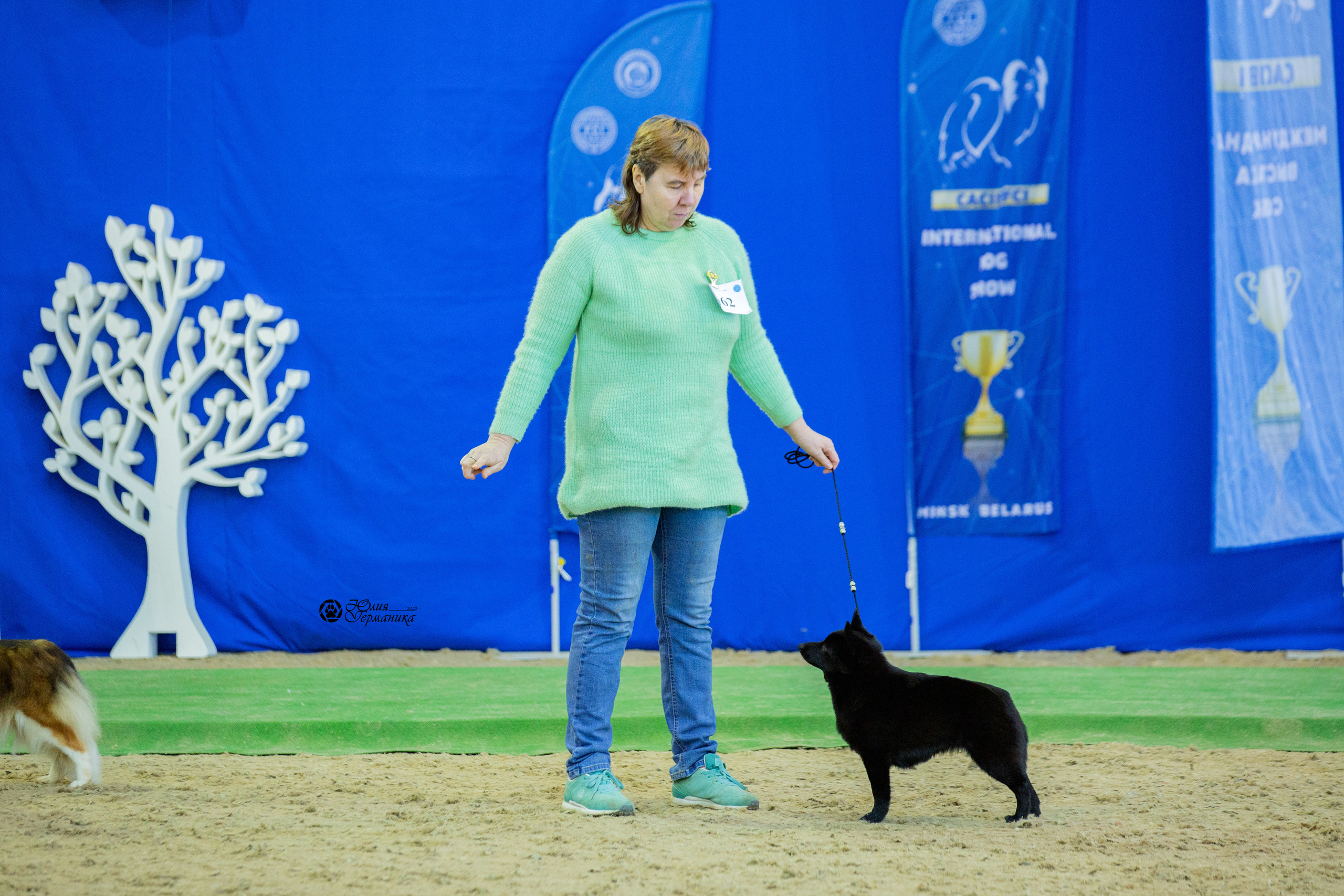 Минск 2хCACIB 5-6 марта 2022. Фотограф-анималист Юлия Германика