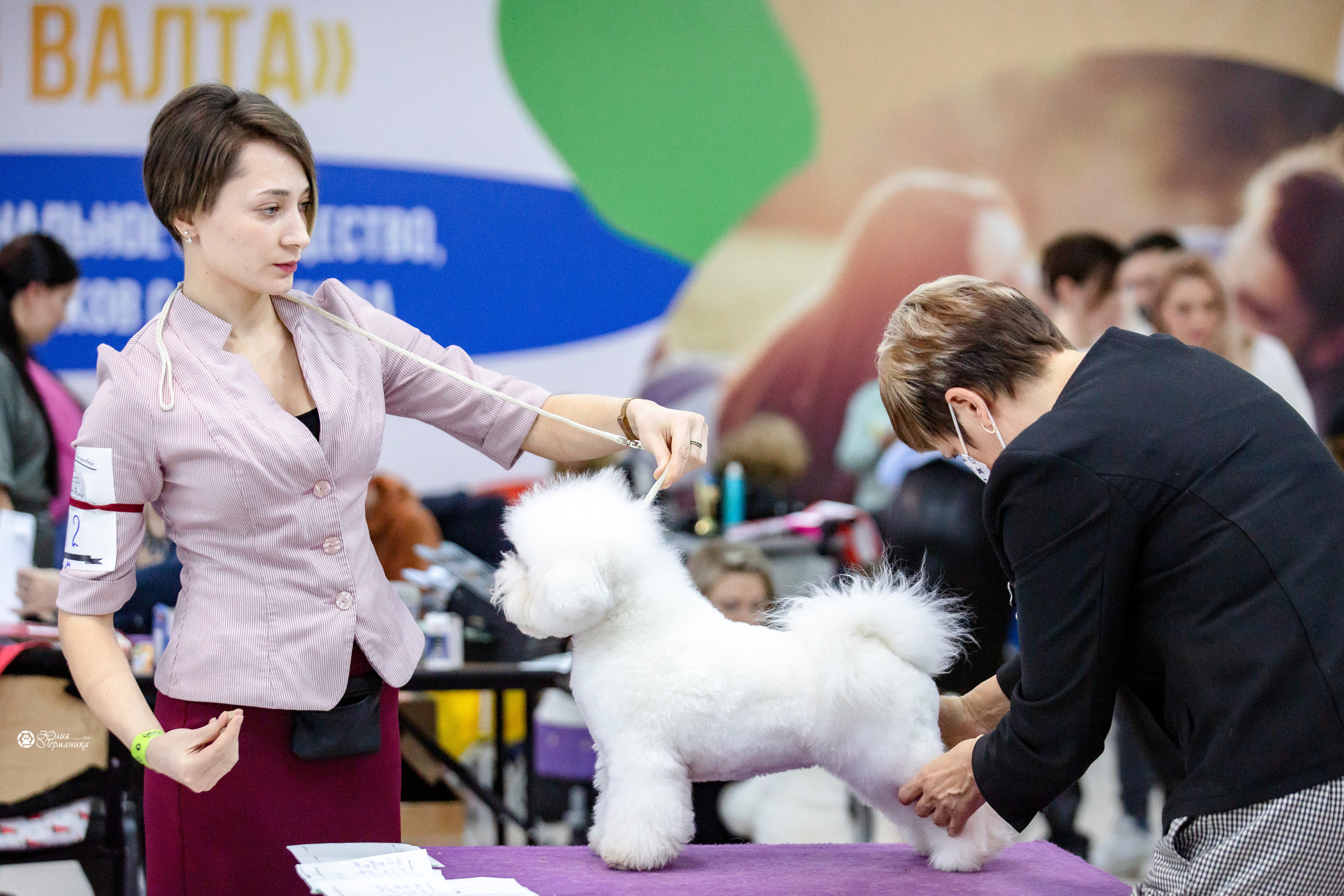 Чайна-Таун 12-13 февраля 2022. Фотограф-анималист Юлия Германика