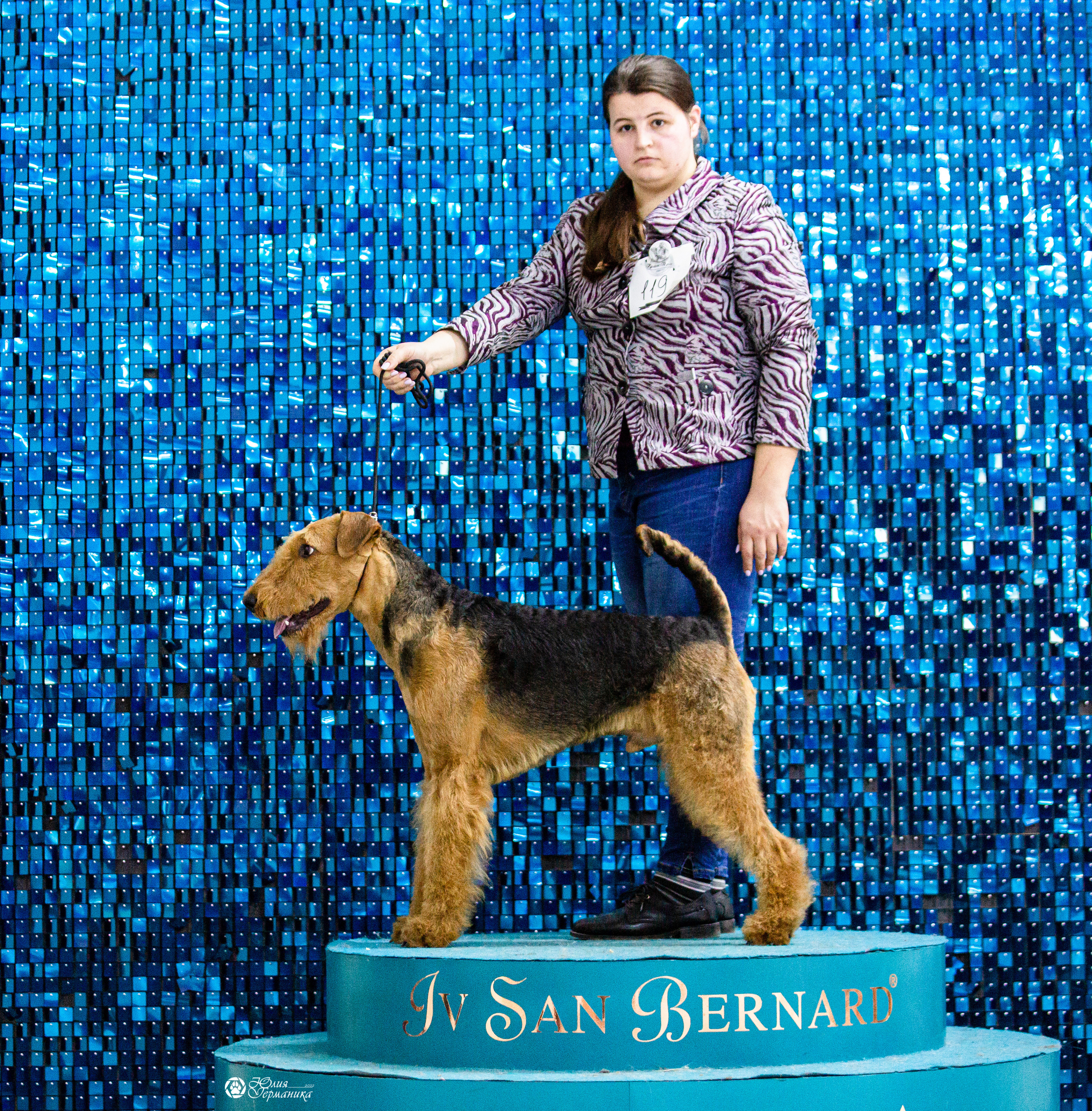 Чайна-Таун 12-13 февраля 2022. Фотограф-анималист Юлия Германика