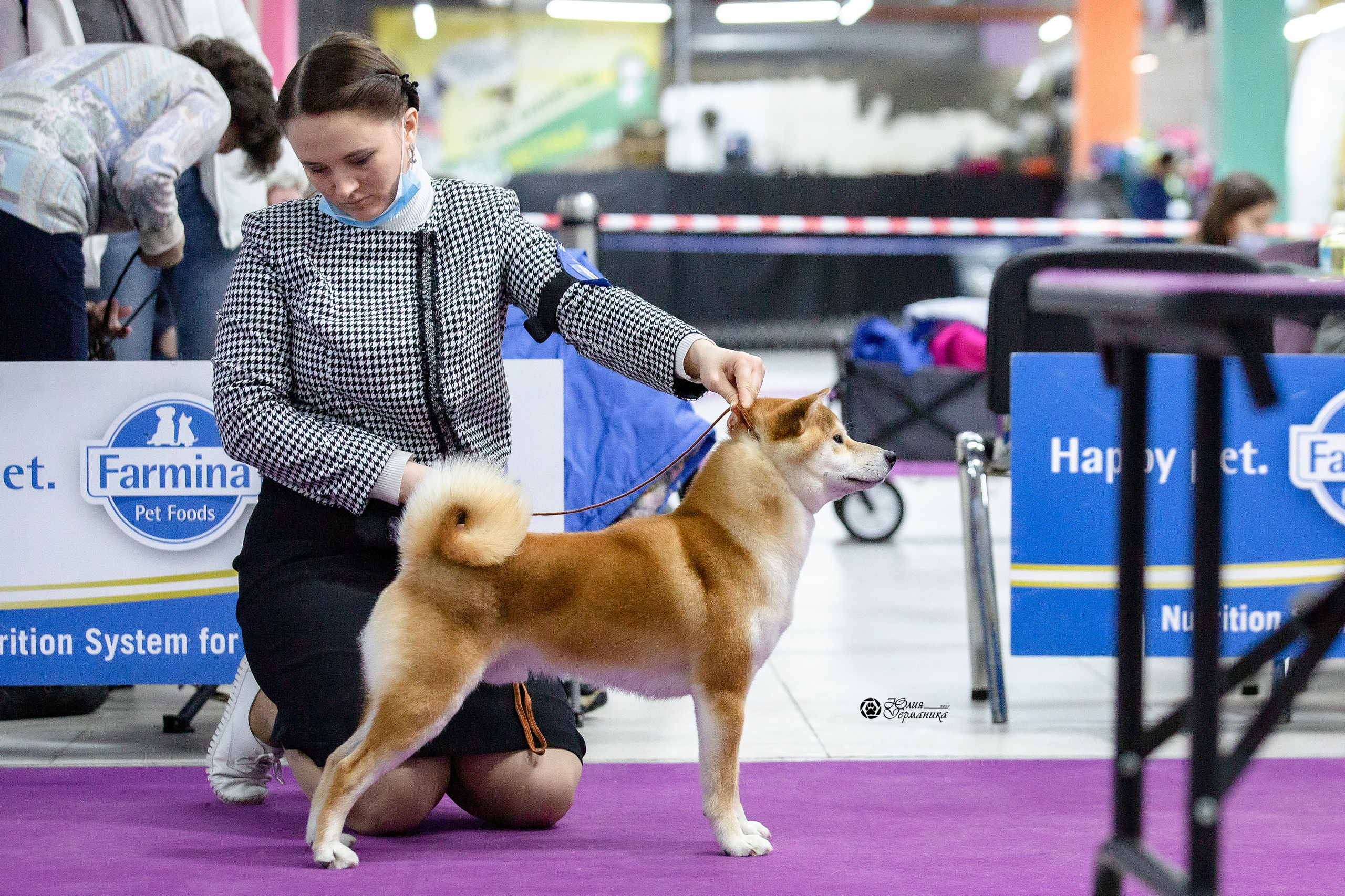 Чайна-Таун 29-30 января 2022. Фотограф-анималист Юлия Германика