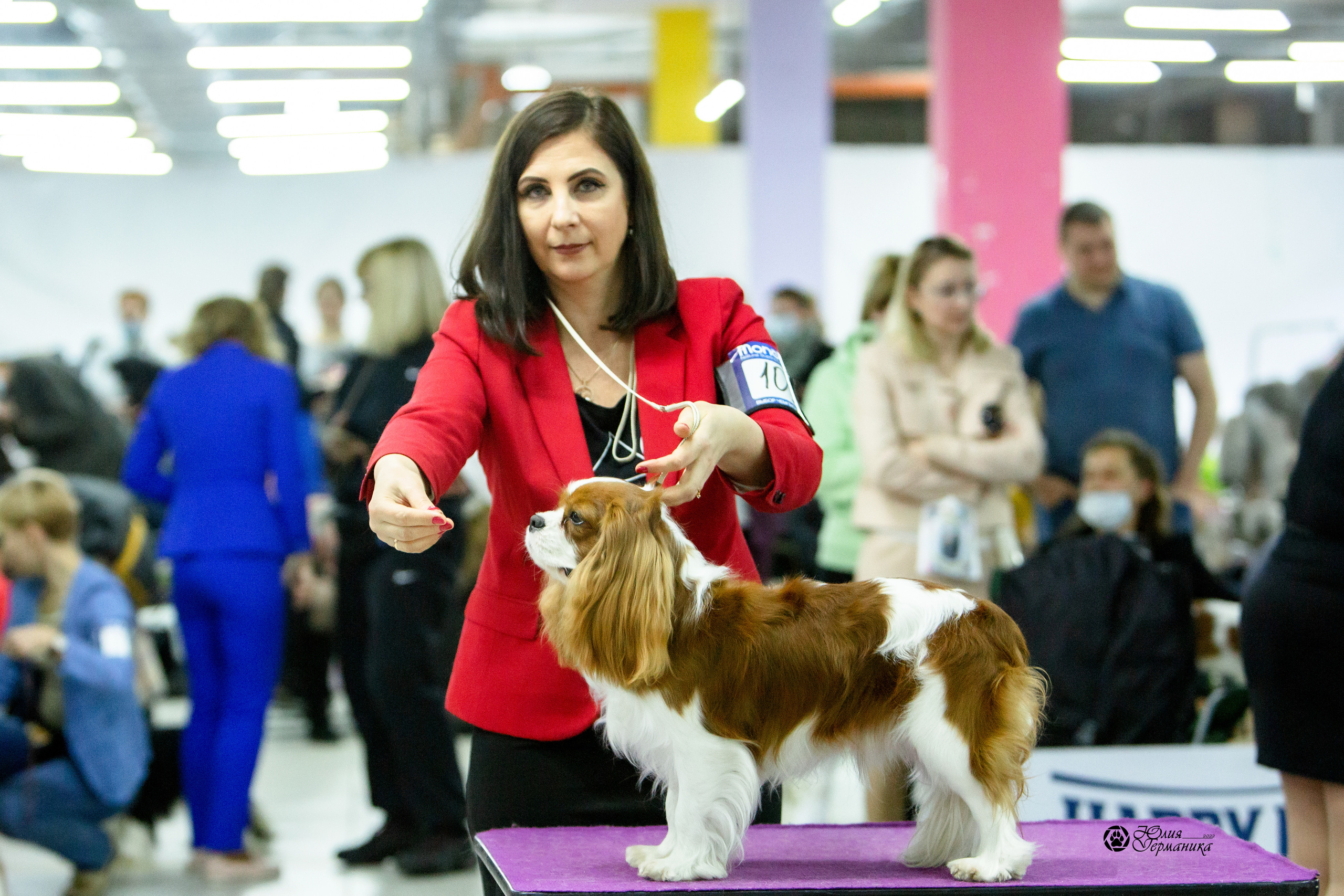 Чайна-Таун 8 января 2022. Фотограф-анималист Юлия Германика