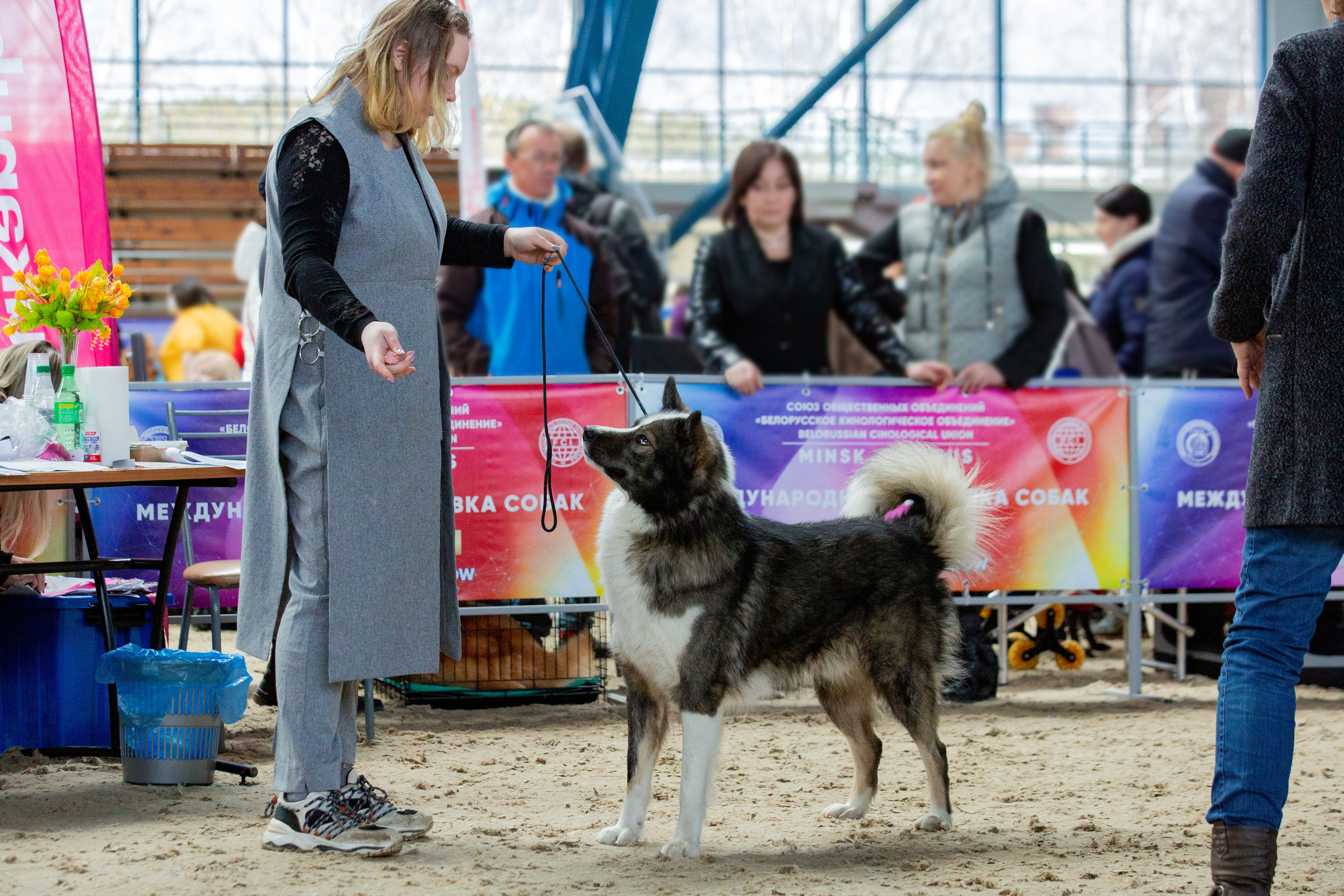 Минск 2хCACIB 5-6 марта 2022. Фотограф-анималист Юлия Германика