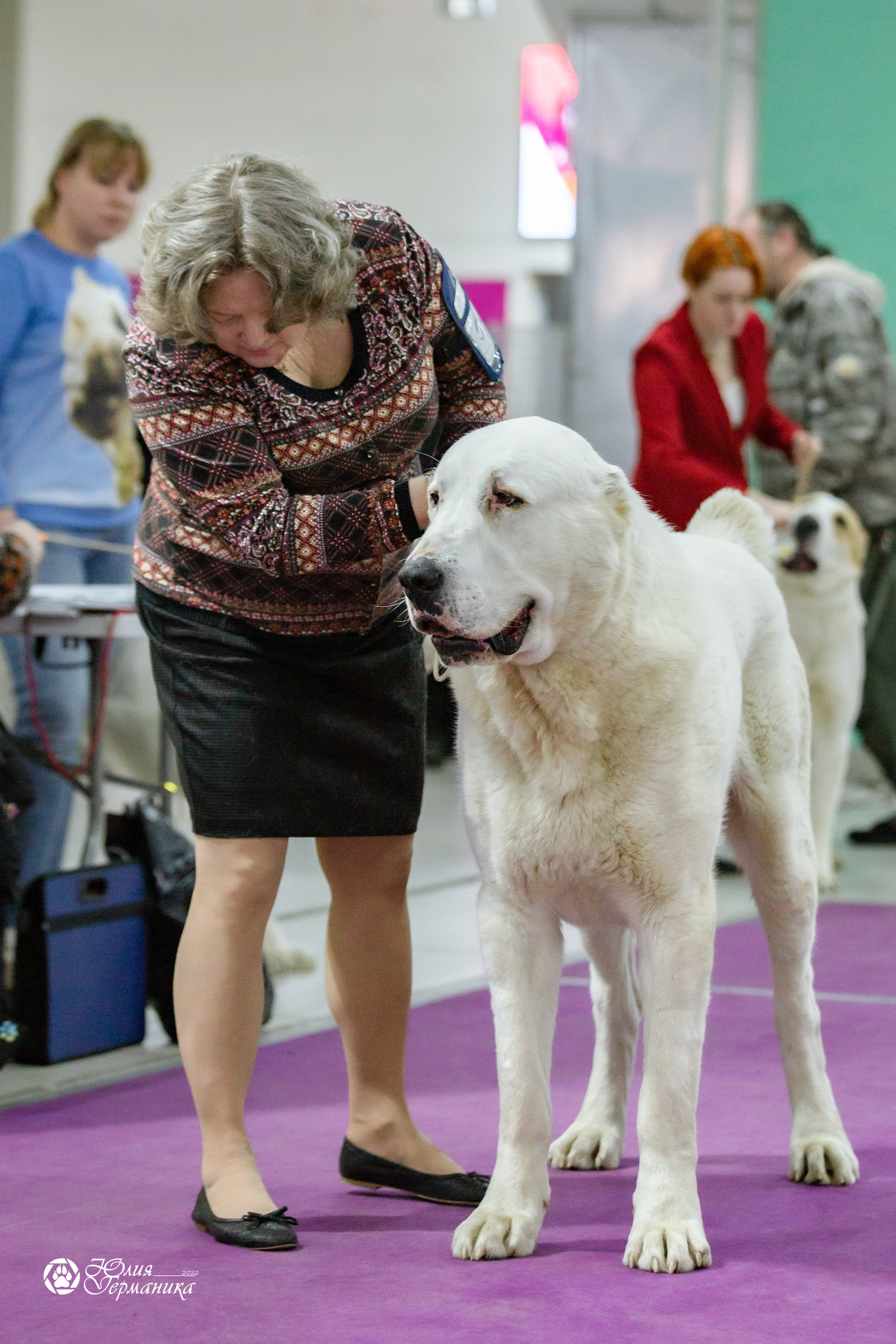 Чайна-Таун 13 и 20 марта 2022. Фотограф-анималист Юлия Германика