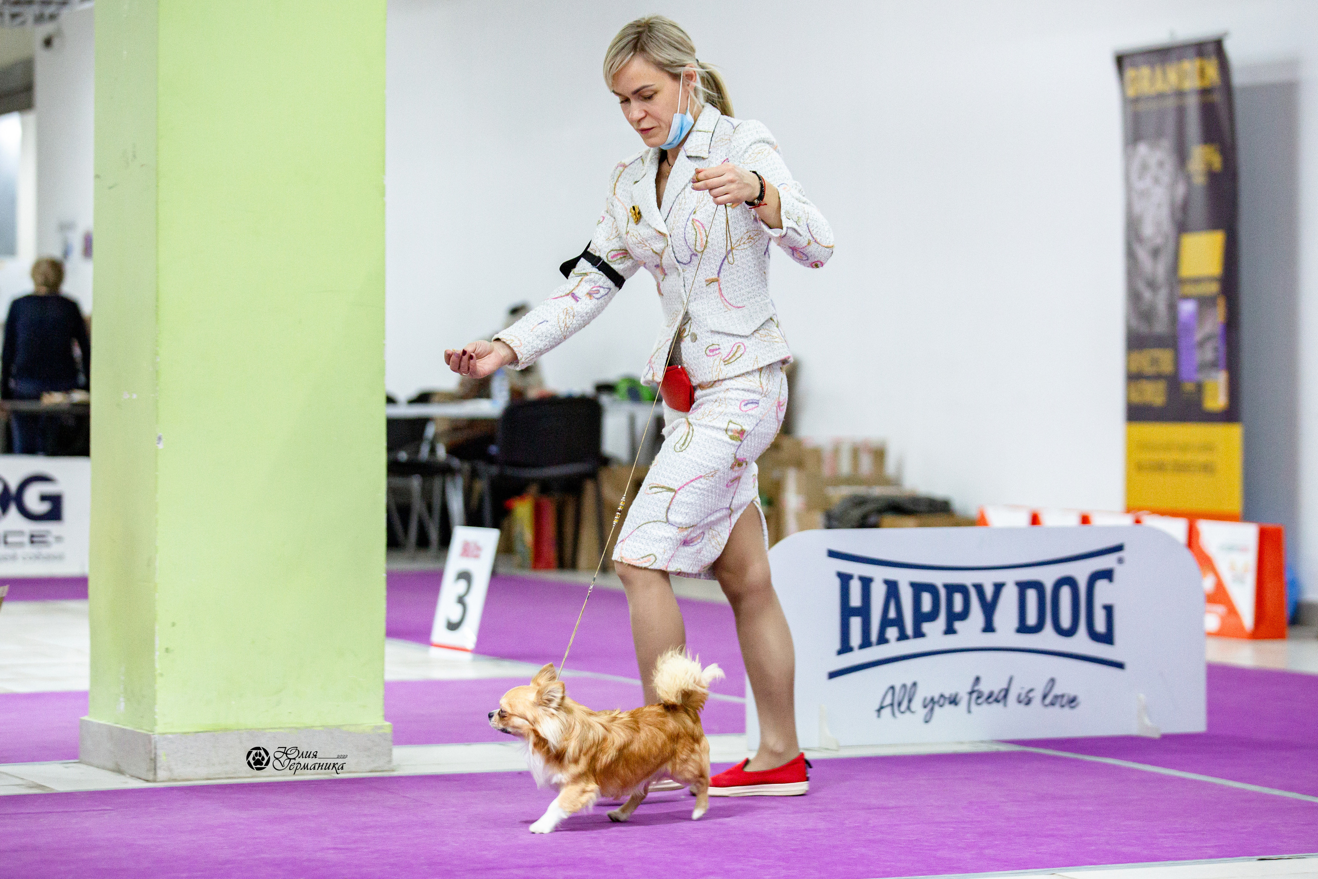 Чайна-Таун 29-30 января 2022. Фотограф-анималист Юлия Германика