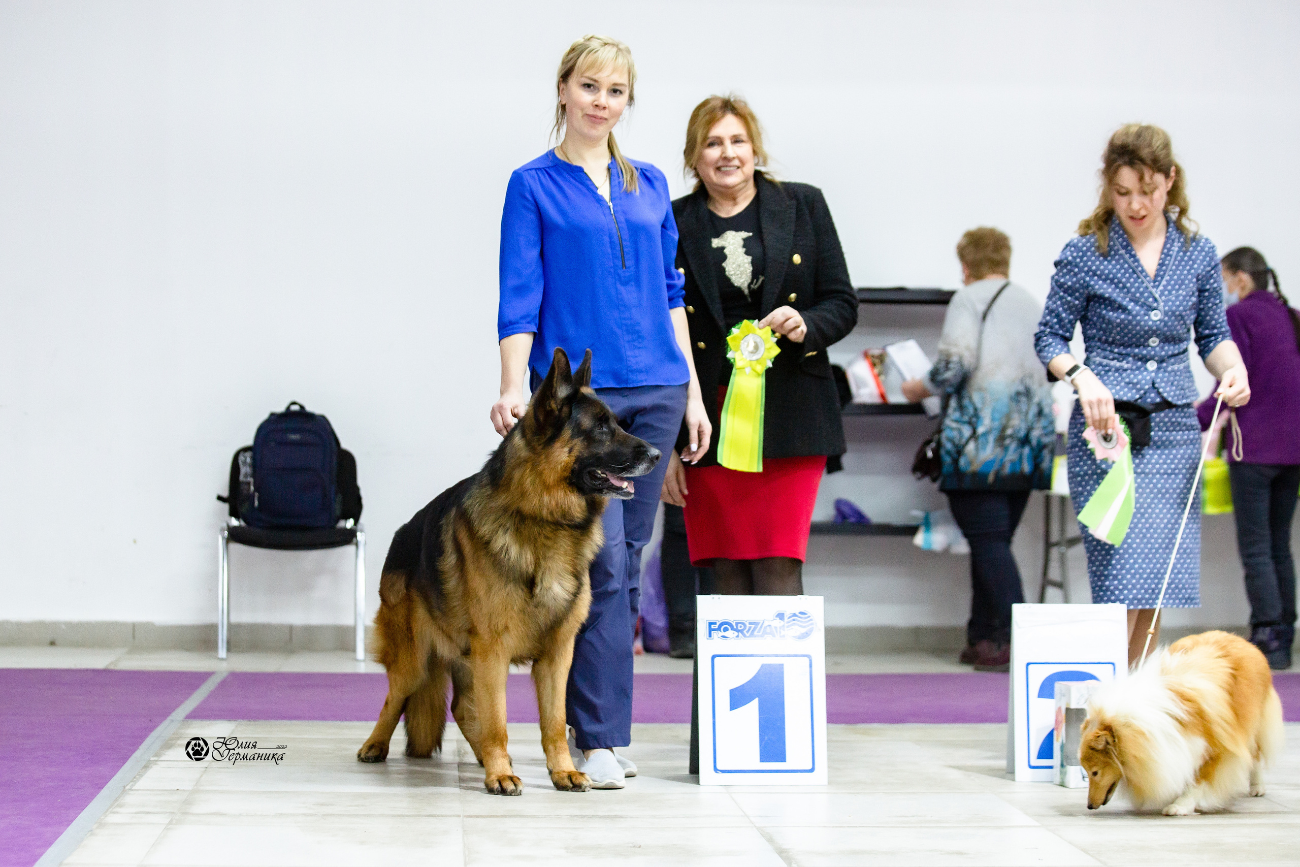 Чайна-Таун 12-13 февраля 2022. Фотограф-анималист Юлия Германика