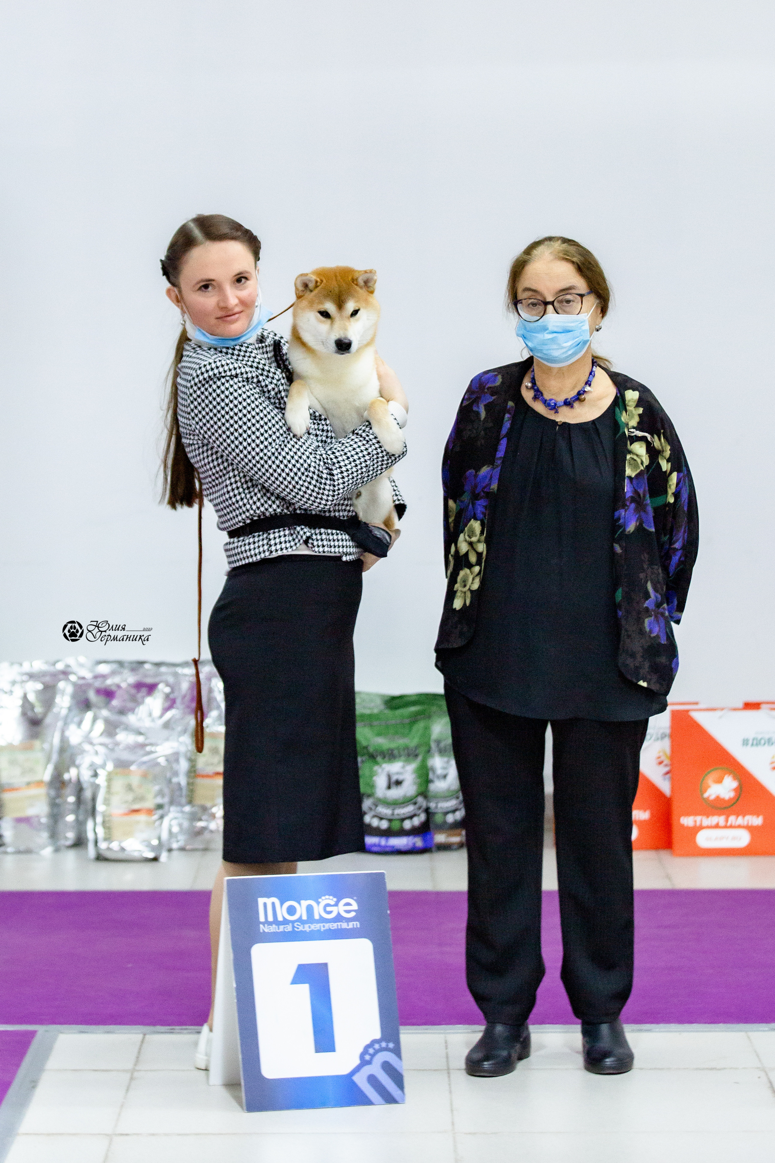 Чайна-Таун 29-30 января 2022. Фотограф-анималист Юлия Германика