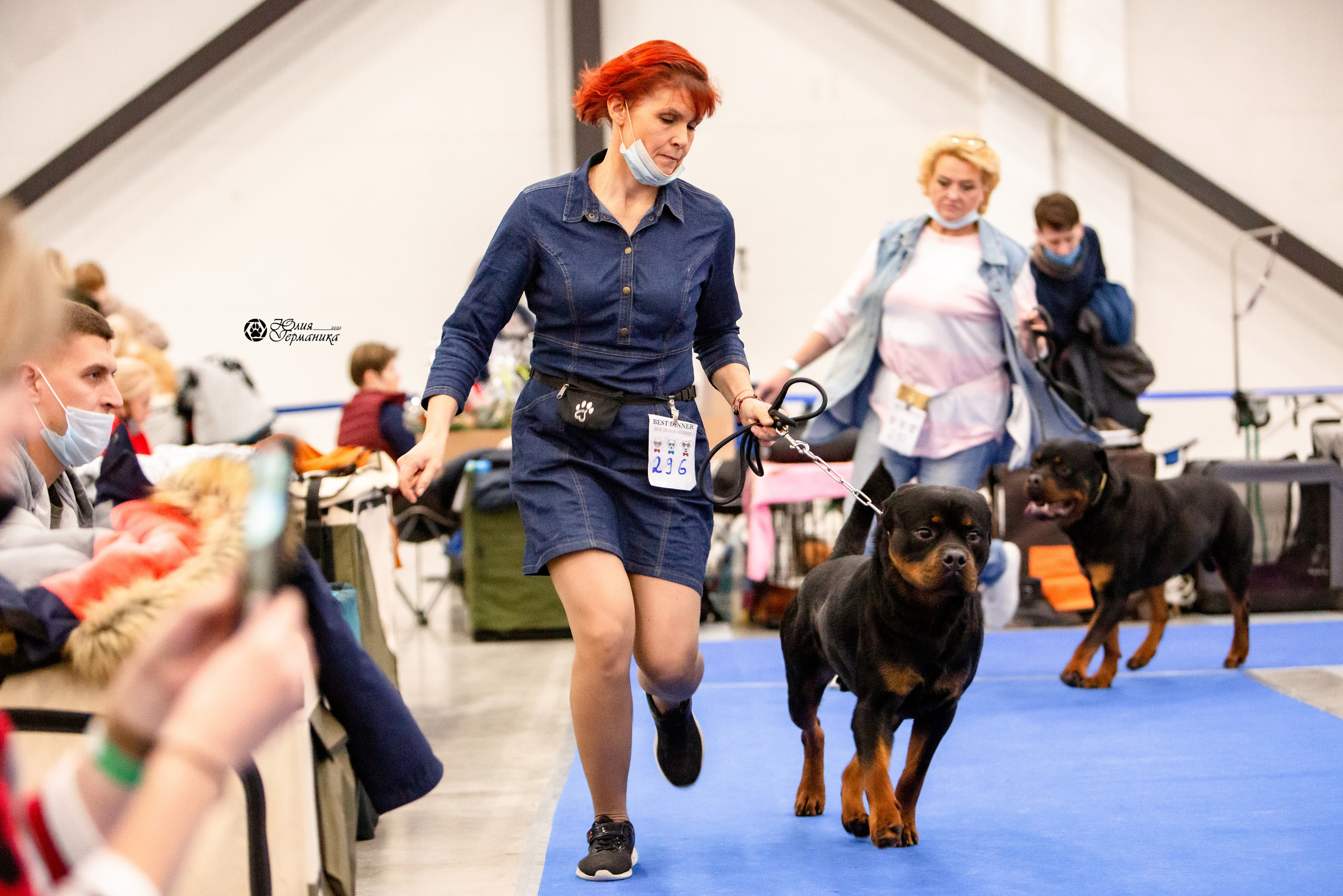 Санкт-Петербург 3хCACIB 10-12 декабря 2021. Фотограф-анималист Юлия Германика