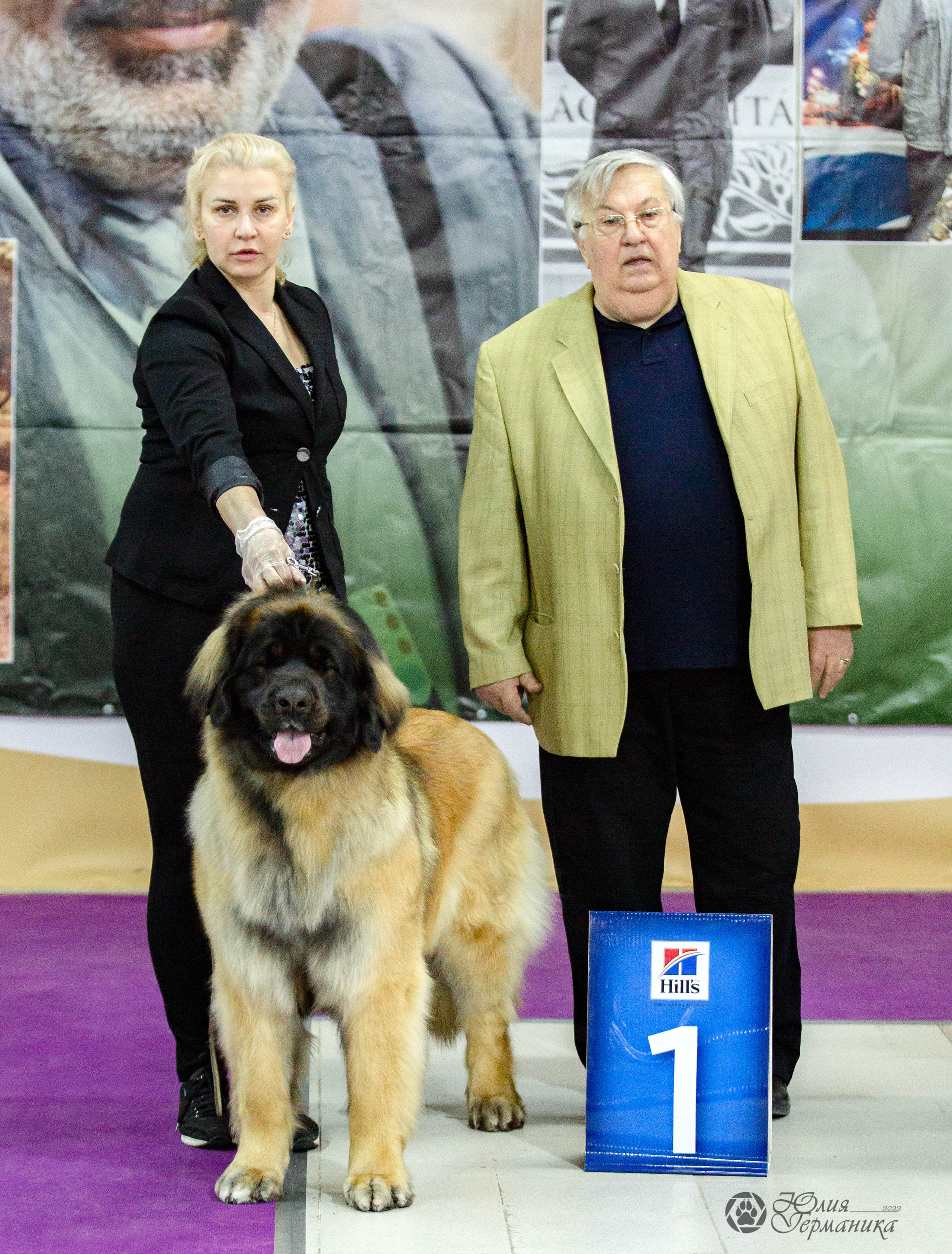 Чайна-Таун 24 и 27 марта 2022. Фотограф-анималист Юлия Германика