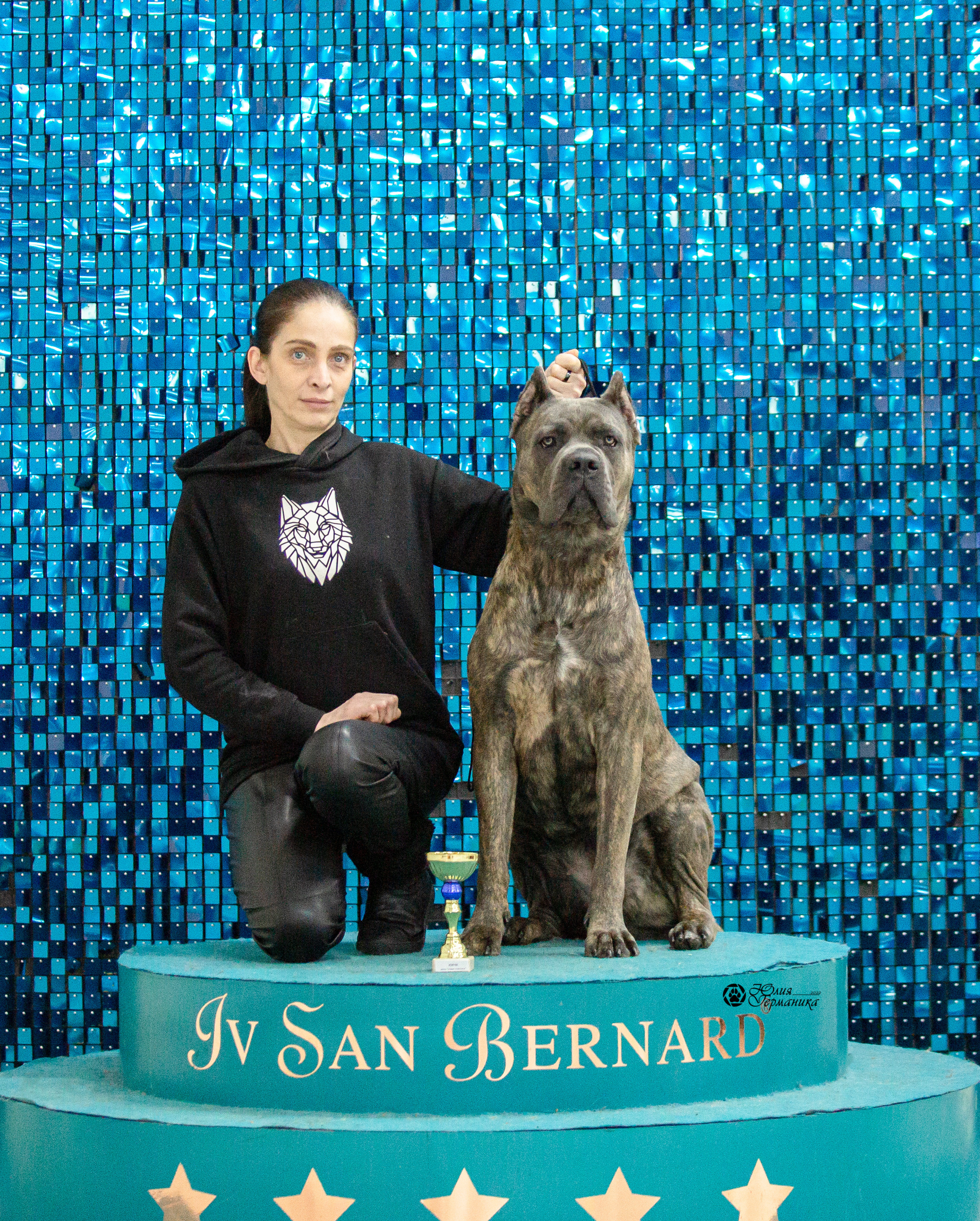 Чайна-Таун 29-30 января 2022. Фотограф-анималист Юлия Германика