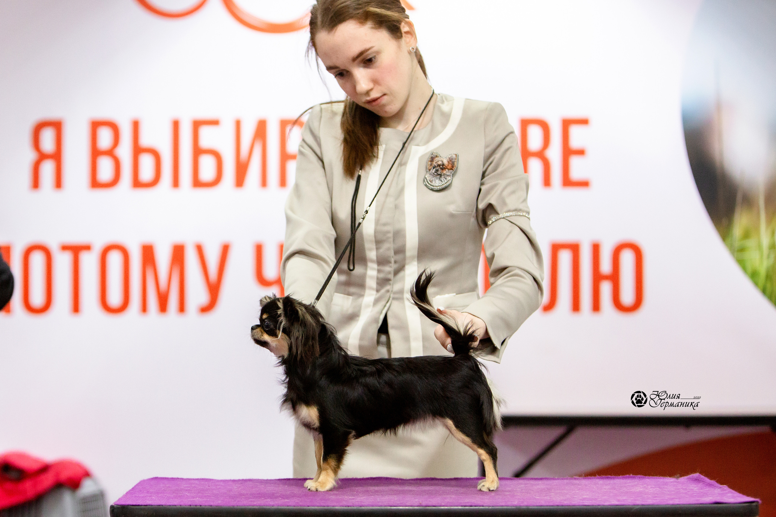 Чайна-Таун 8 января 2022. Фотограф-анималист Юлия Германика