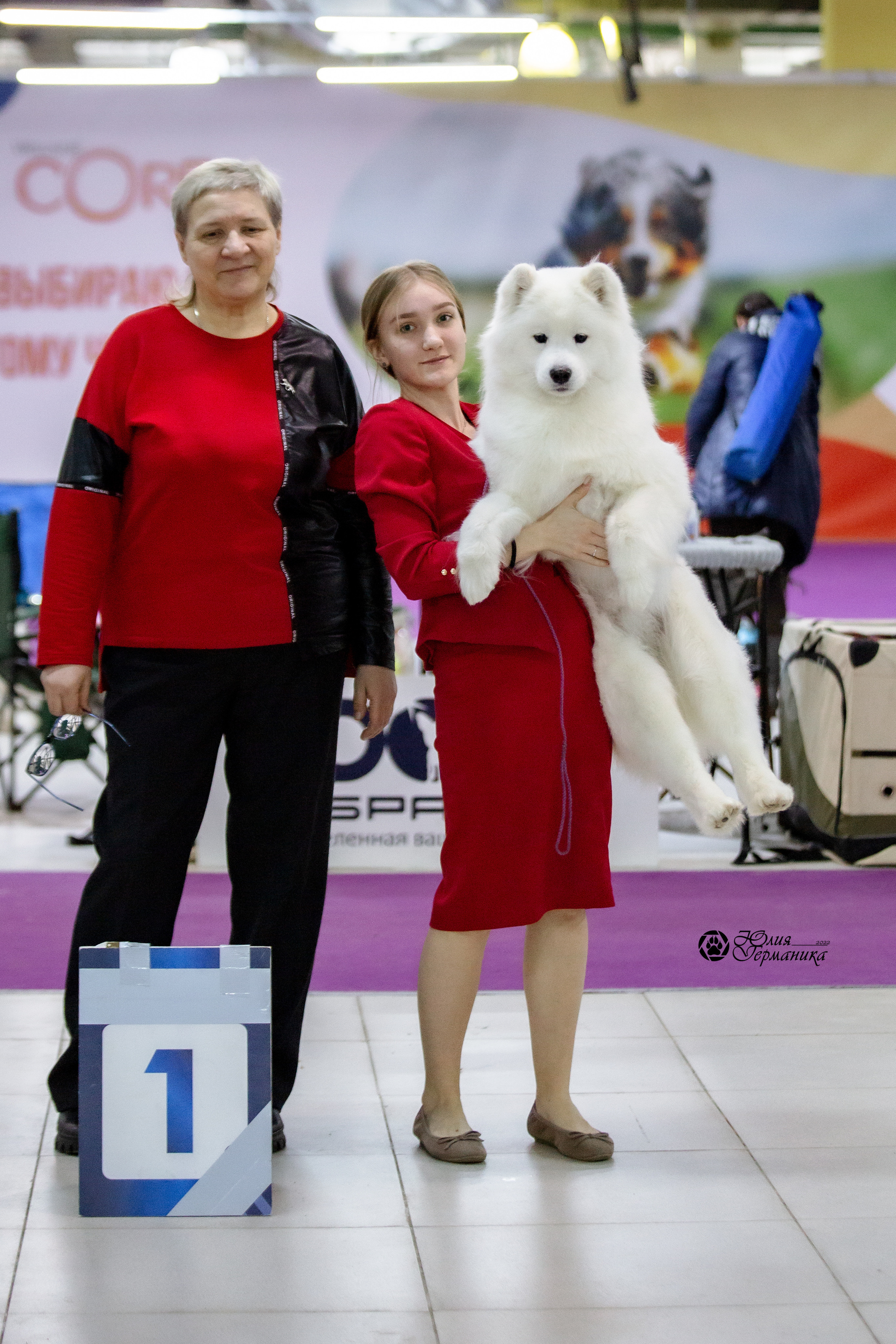 Чайна-Таун 23 февраля 2022. Фотограф-анималист Юлия Германика