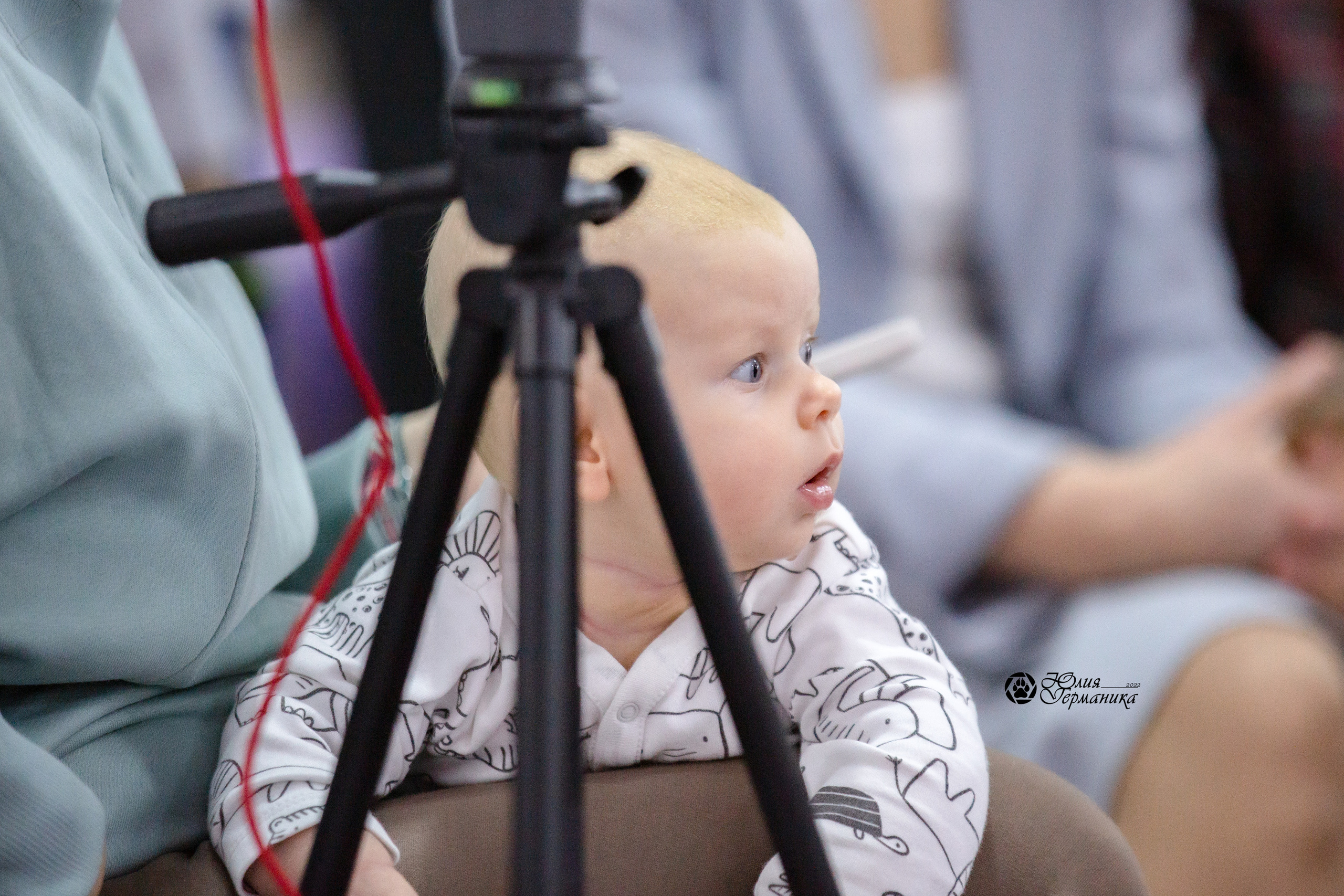 Чайна-Таун 12-13 февраля 2022. Фотограф-анималист Юлия Германика