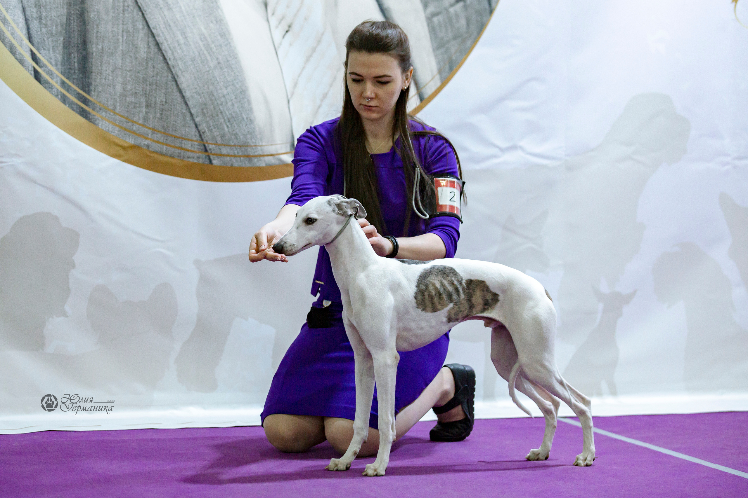 Чайна-Таун 24 и 27 марта 2022. Фотограф-анималист Юлия Германика